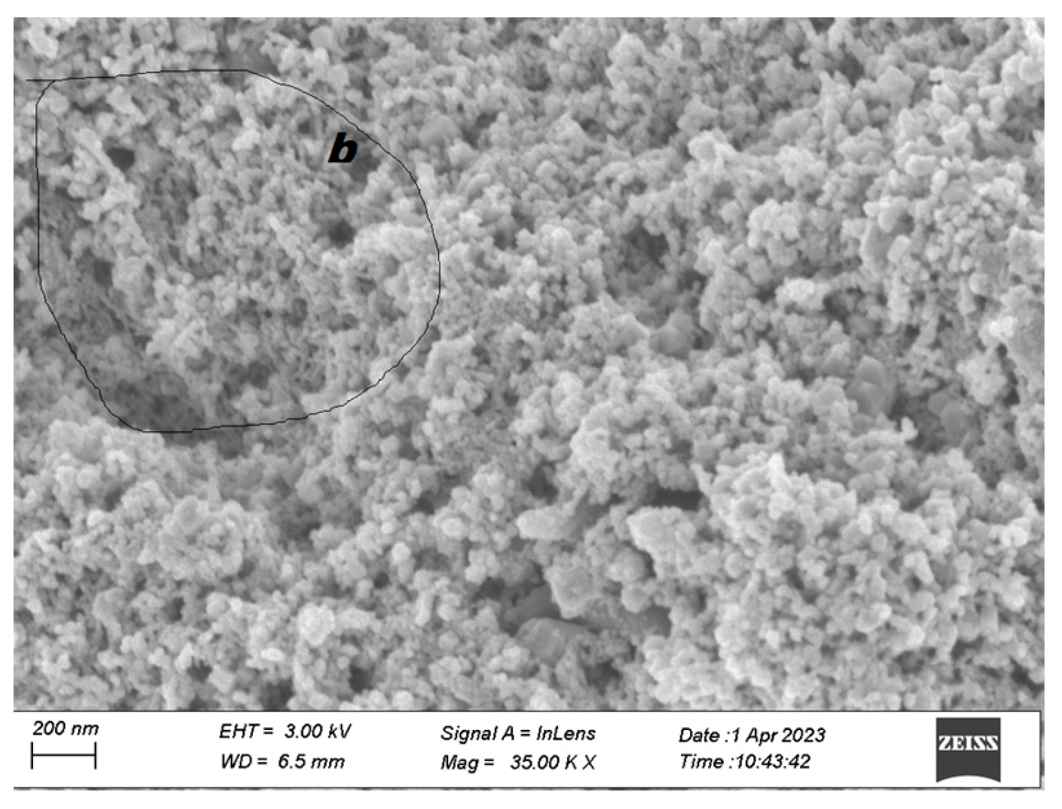 Polymers 15 03528 g002