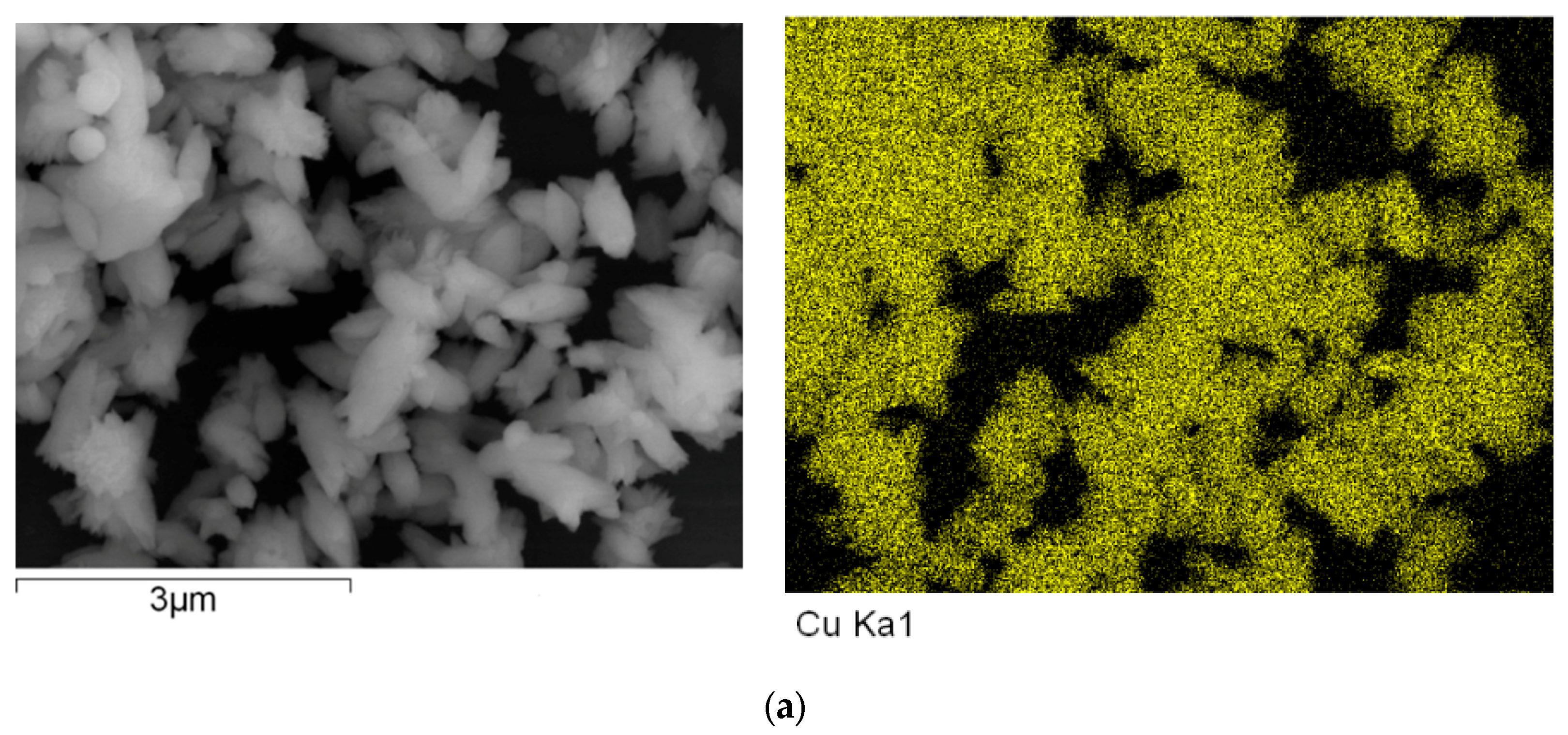 Polymers 15 03528 g013a