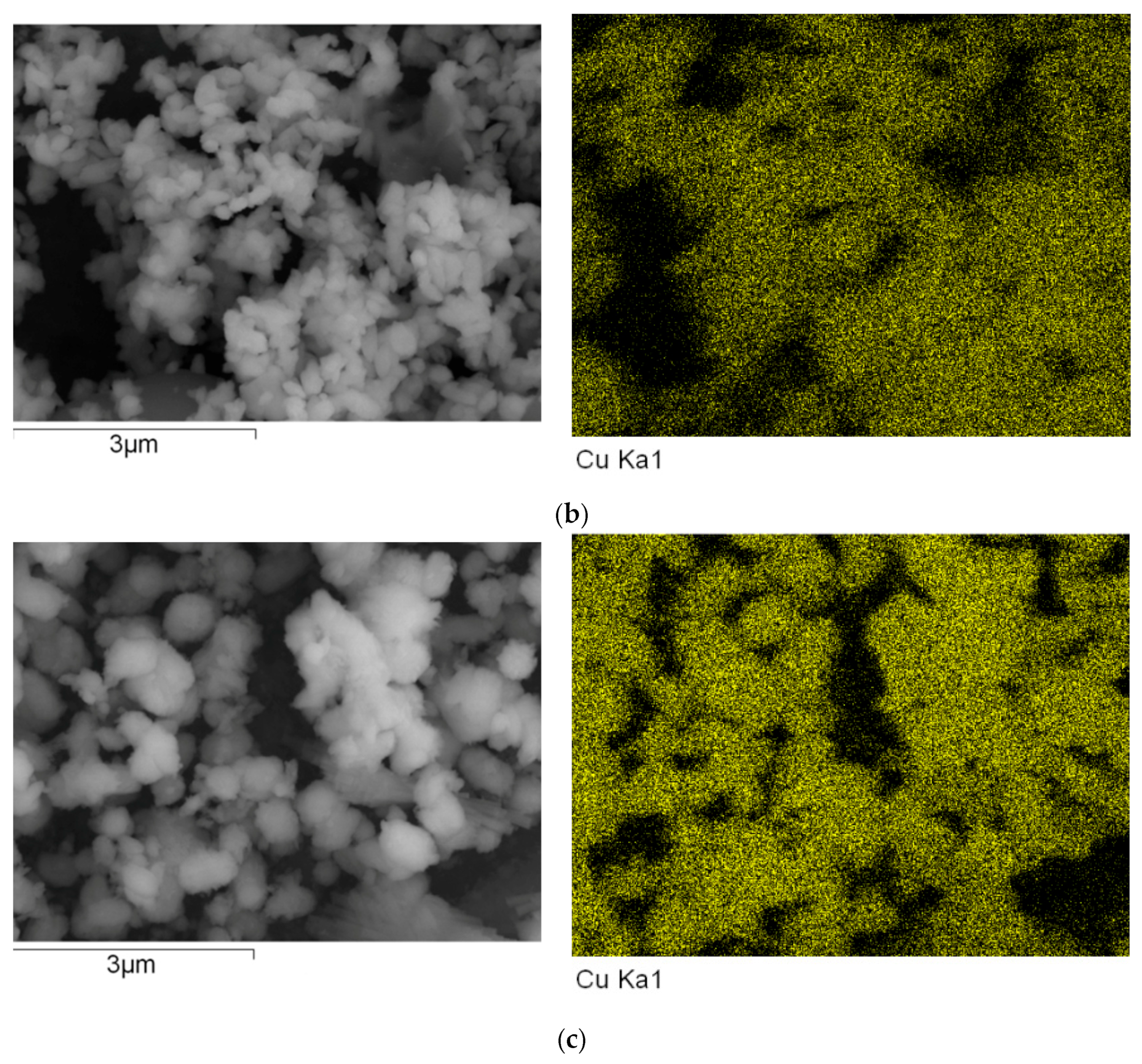 Polymers 15 03528 g013b