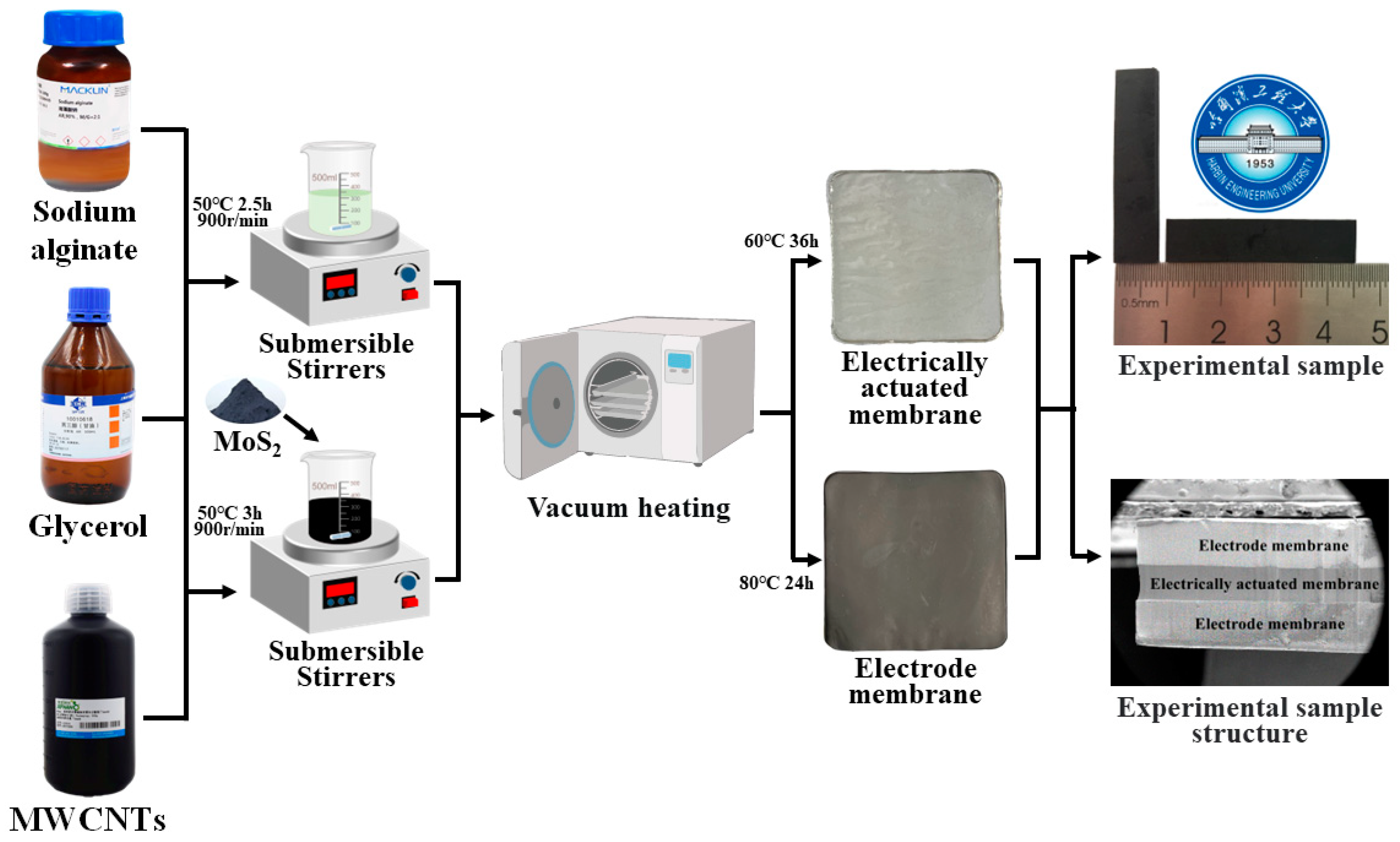 Polymers 15 03535 g001
