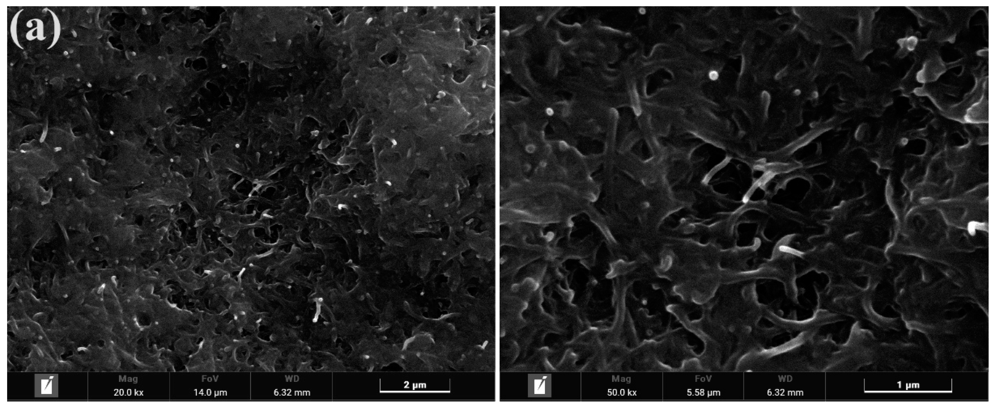 Polymers 15 03535 g004a