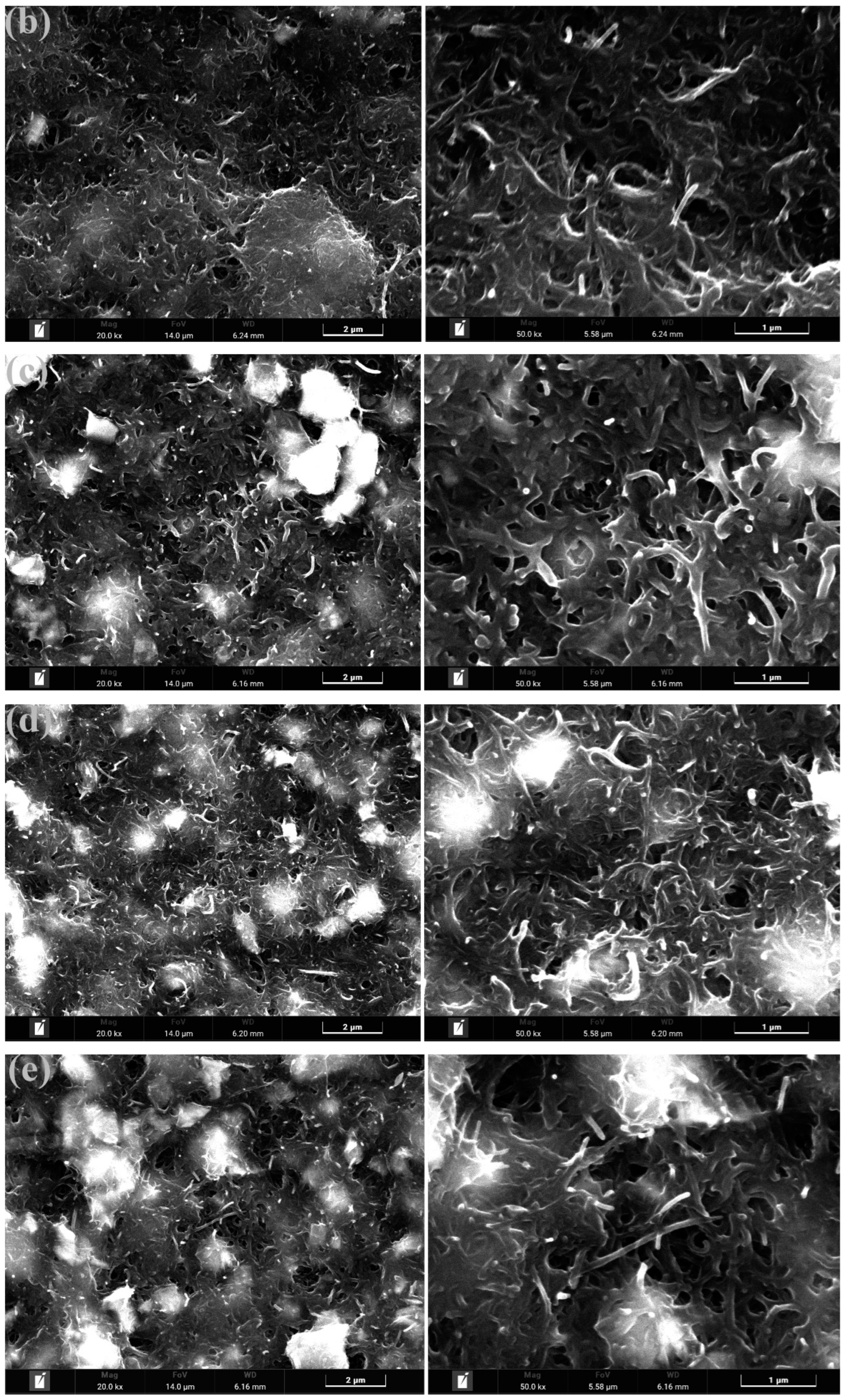 Polymers 15 03535 g004b
