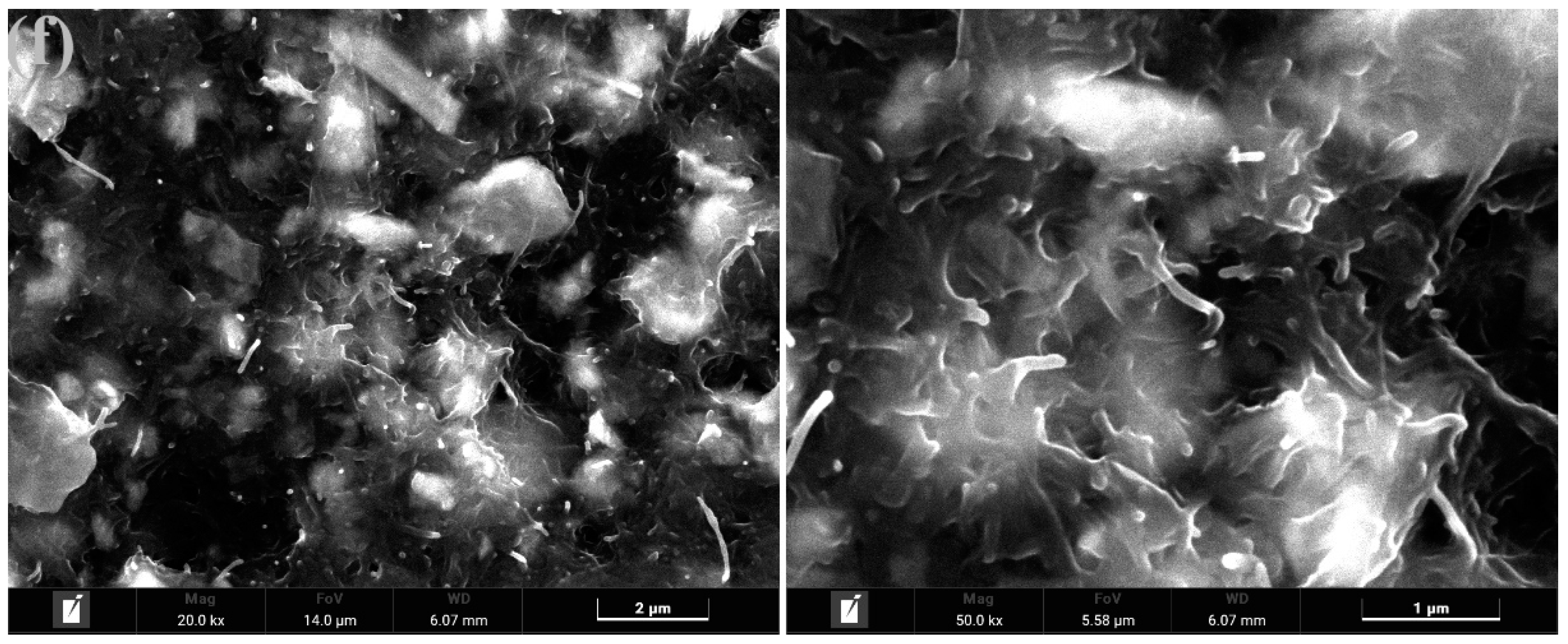 Polymers 15 03535 g004c