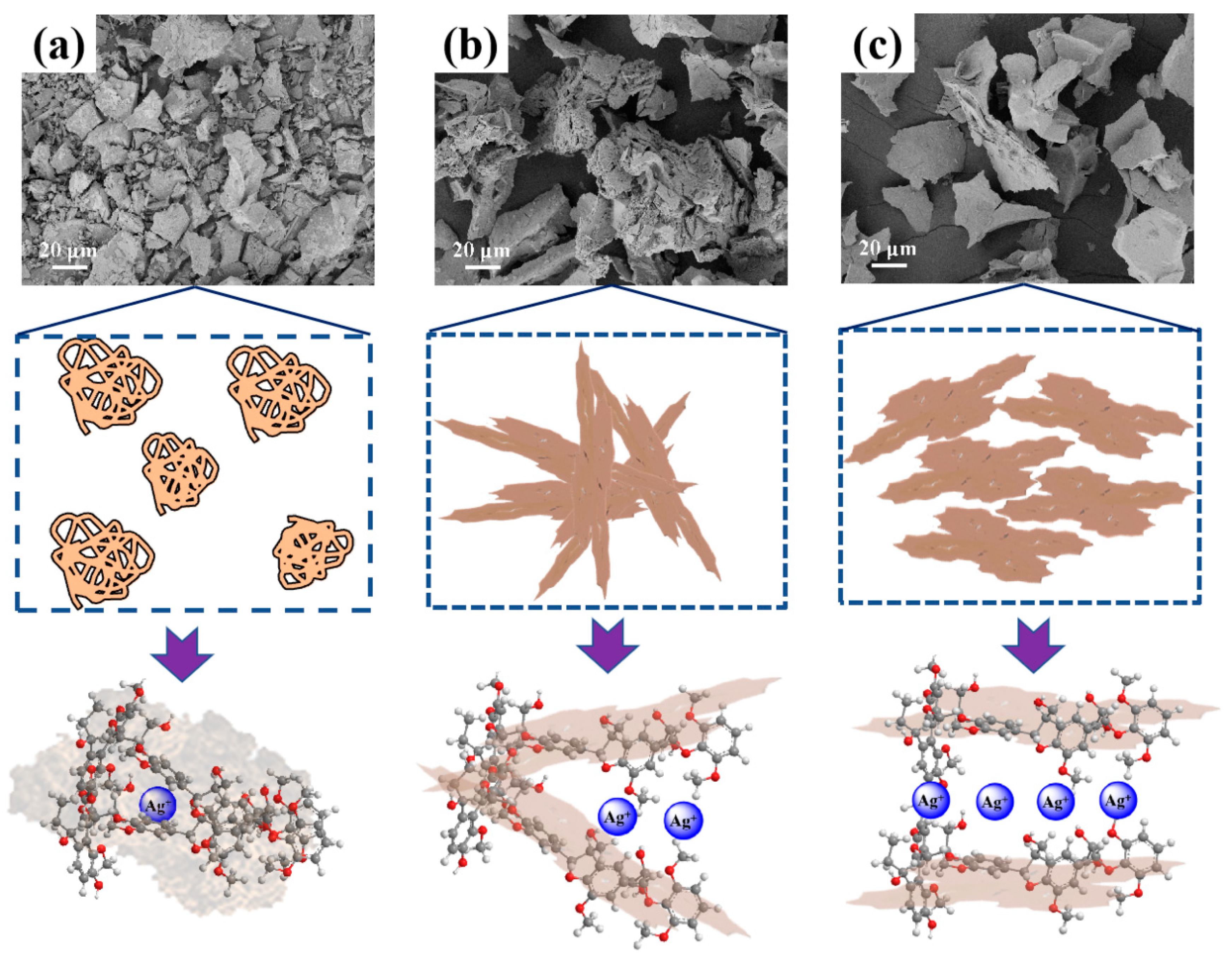 Polymers 15 03541 g002