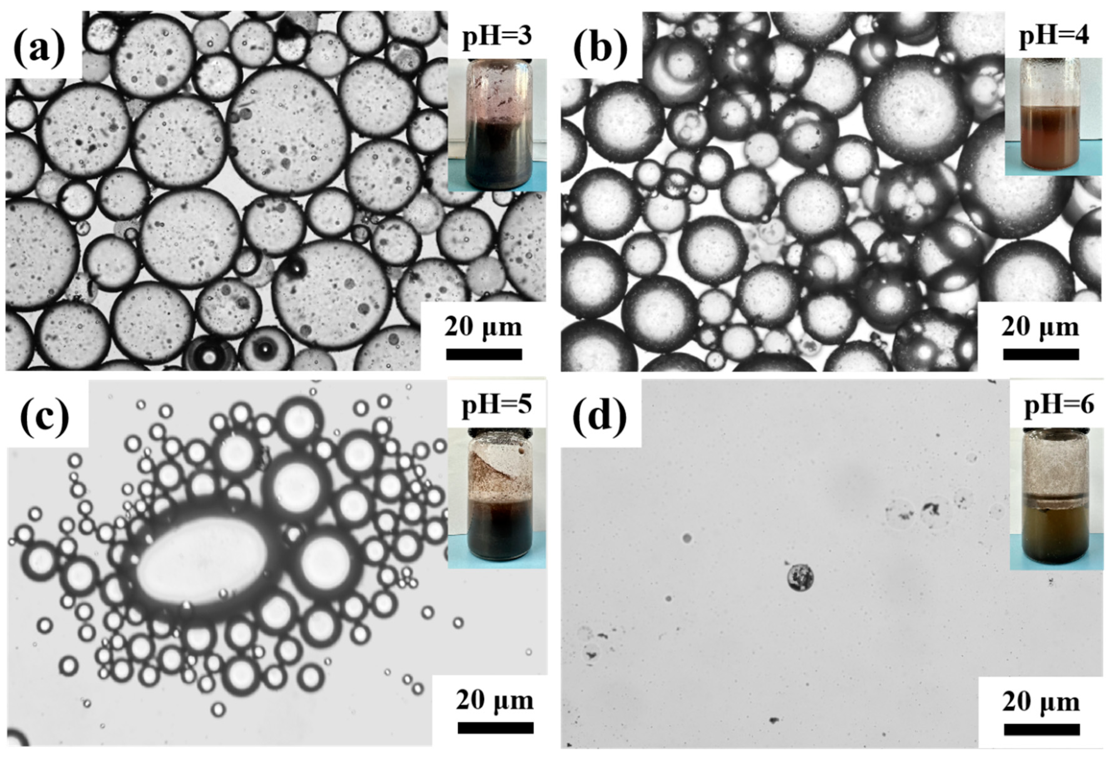 Polymers 15 03541 g004