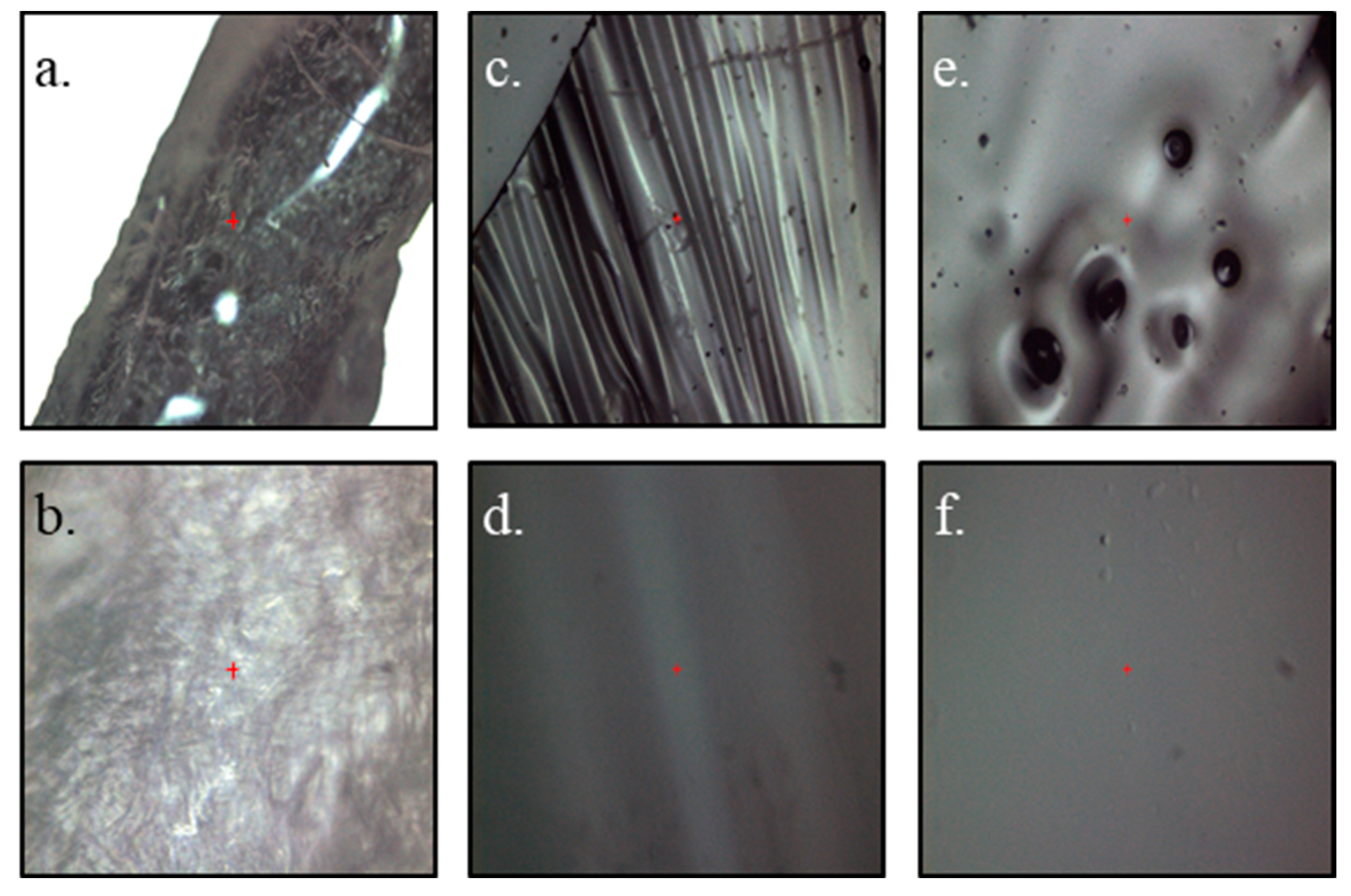 Polymers 15 03557 g002