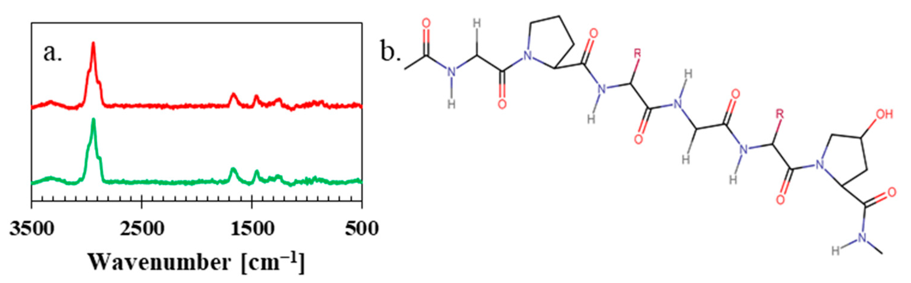 Polymers 15 03557 g003