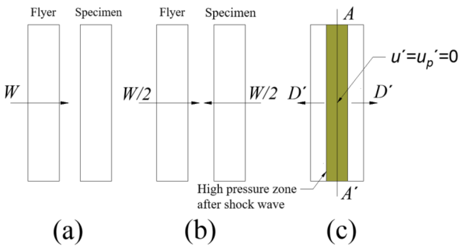 Polymers 15 03564 g005