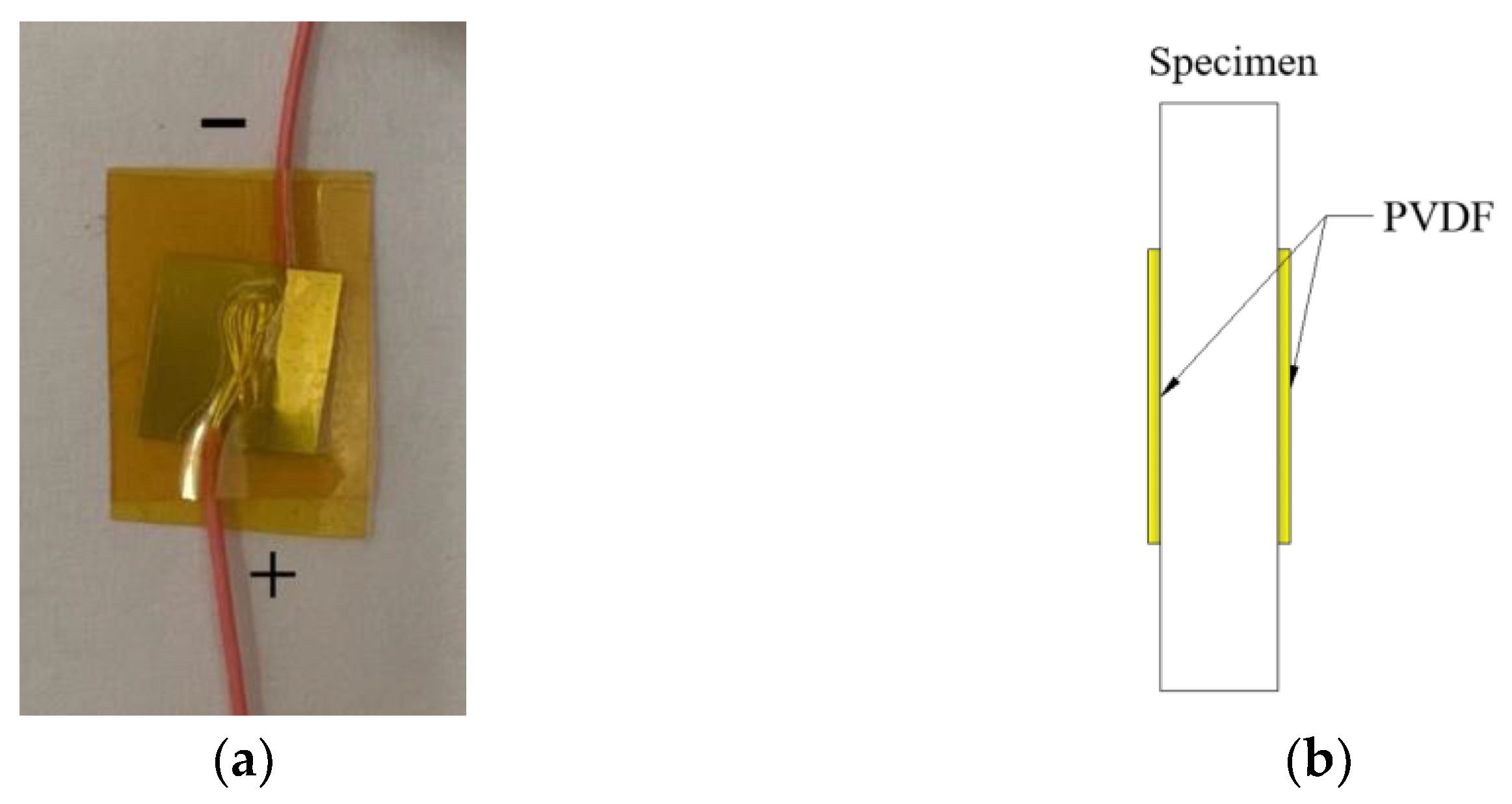 Polymers 15 03564 g006