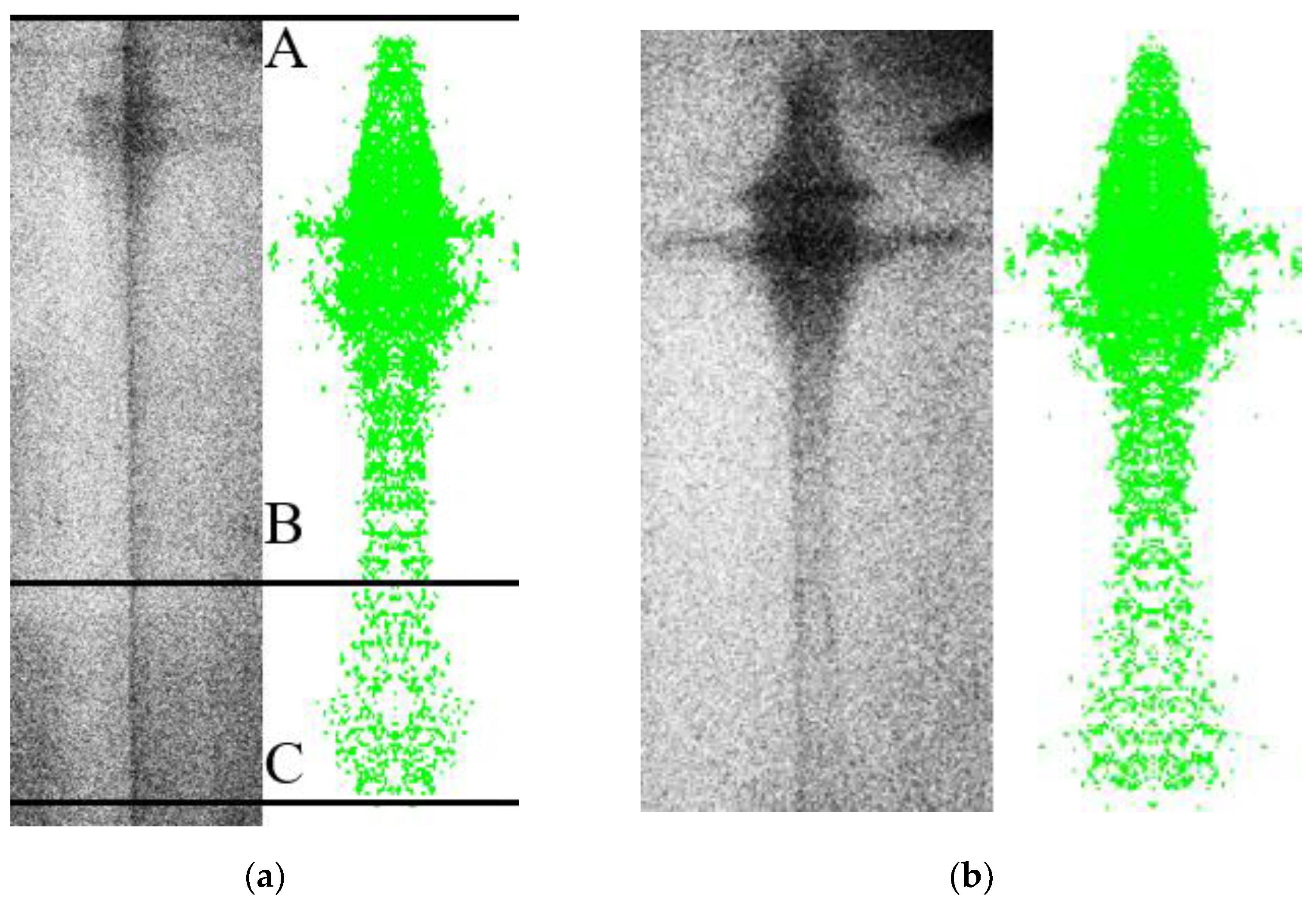 Polymers 15 03564 g019