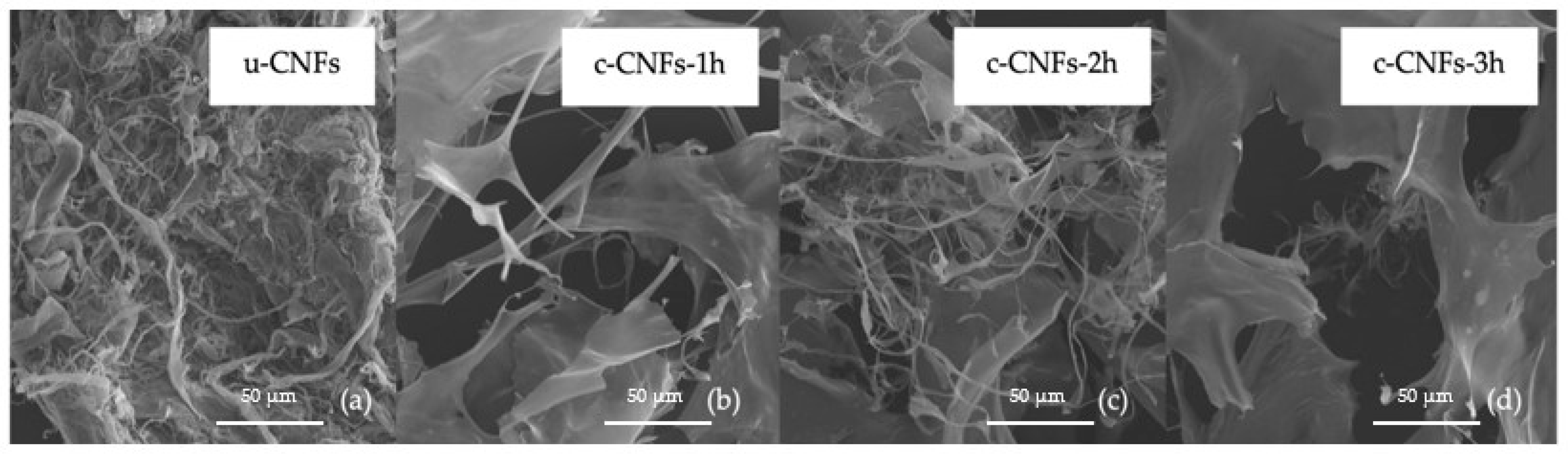 Polymers 15 03572 g003