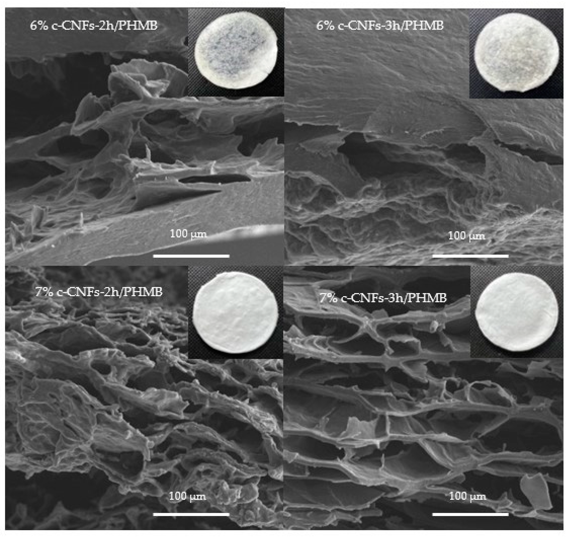 Polymers 15 03572 g006