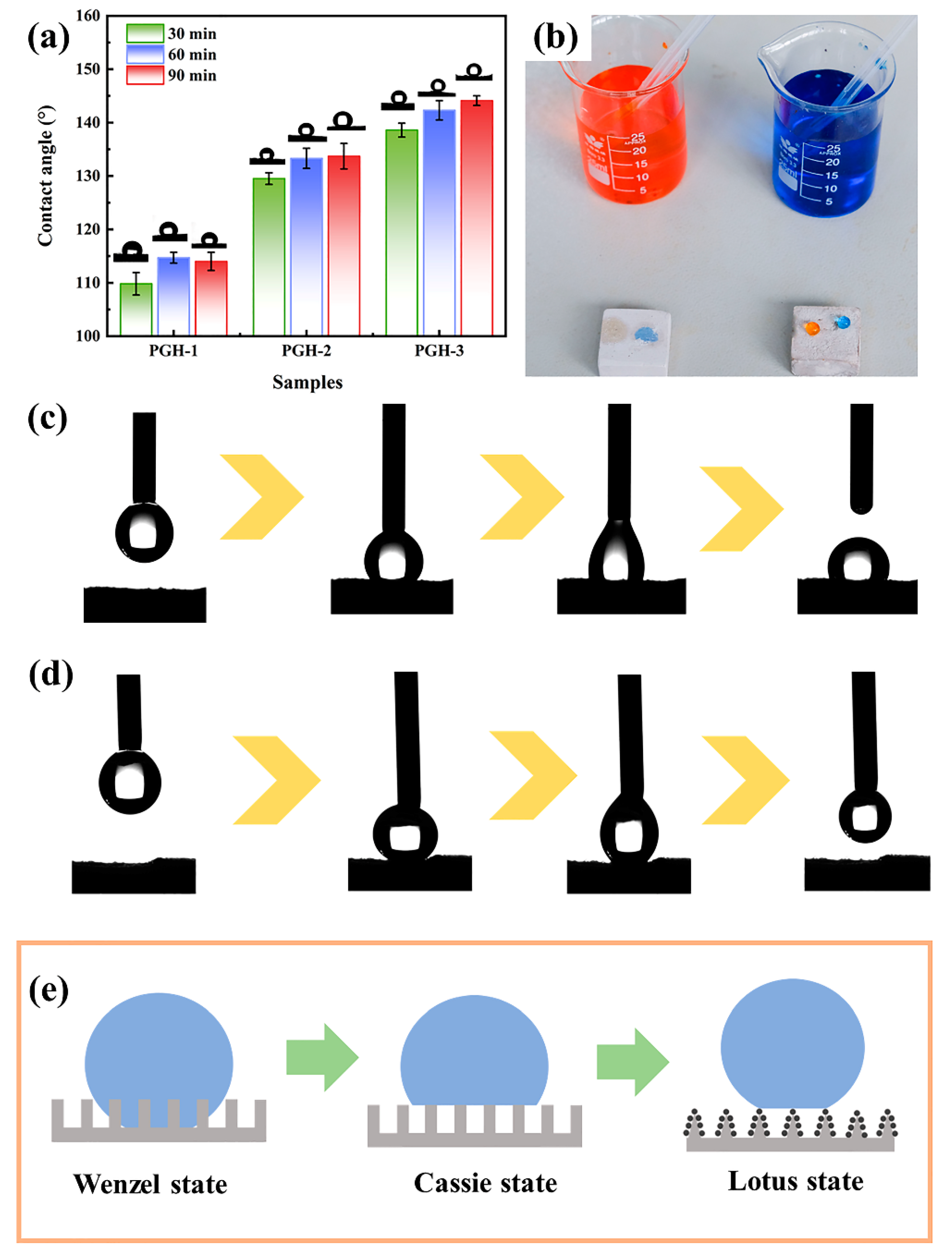 Polymers 15 03574 g007