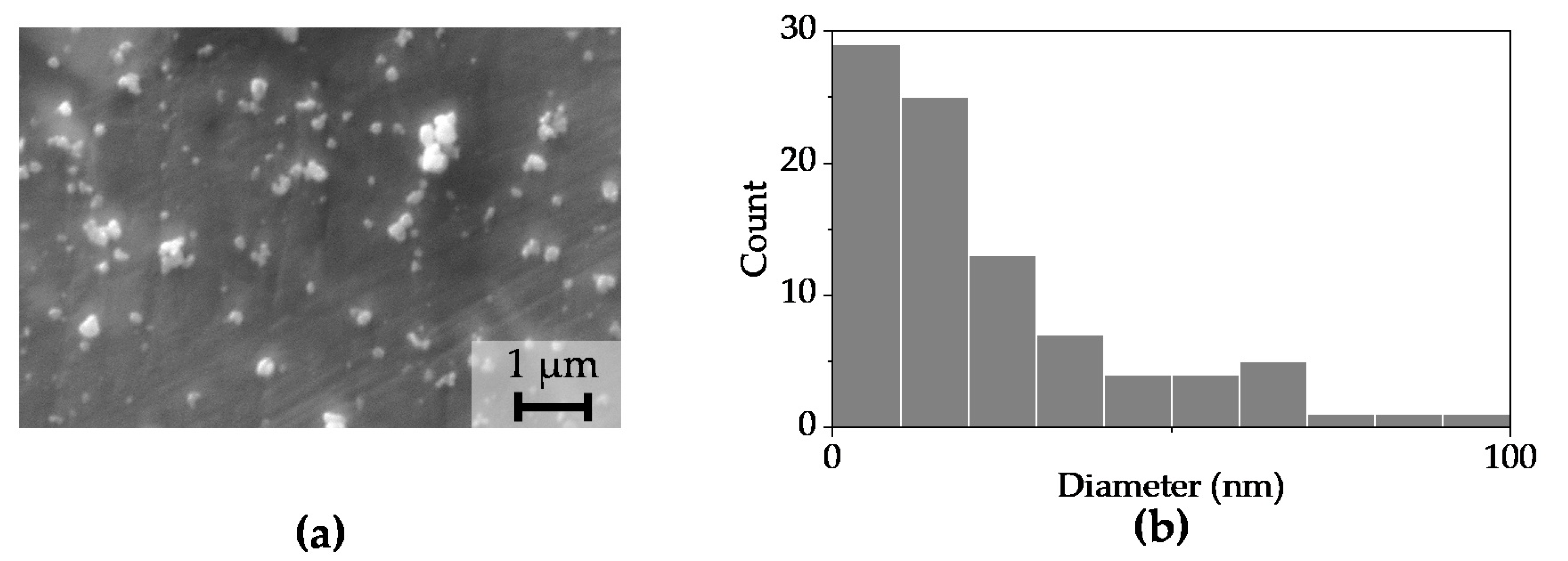 Polymers 15 03580 g003