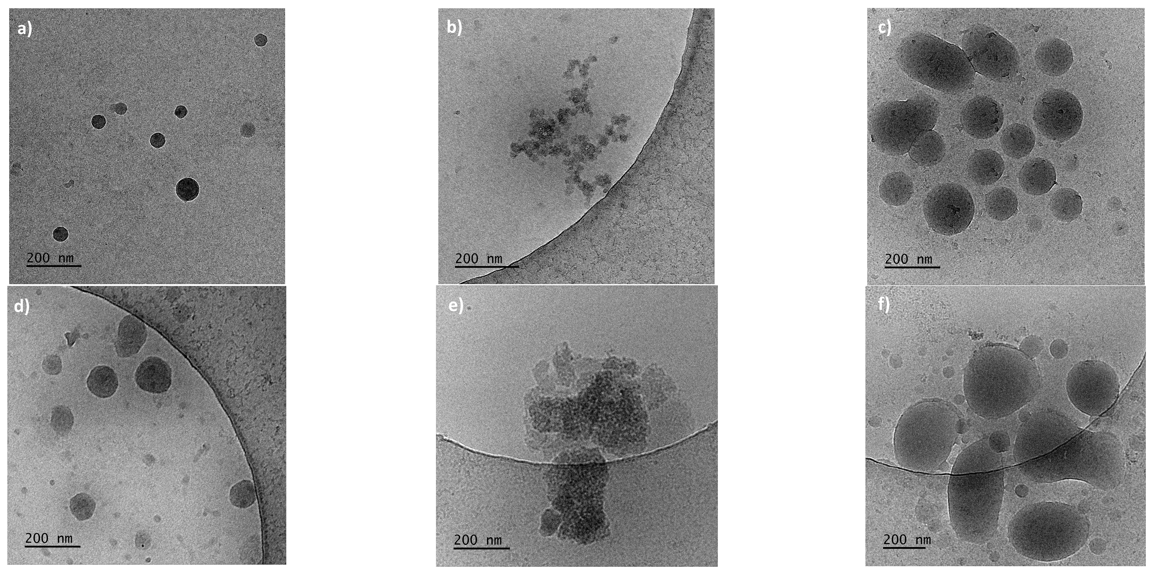 Polymers 15 03587 g007
