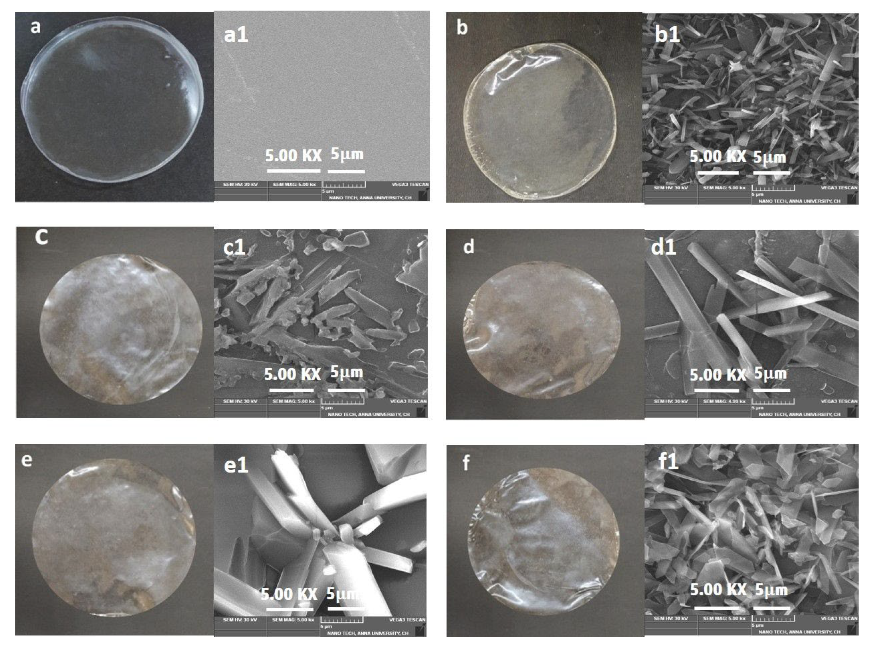 Polymers 15 03589 g001