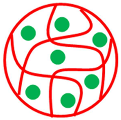 Polymers 15 03600 i001