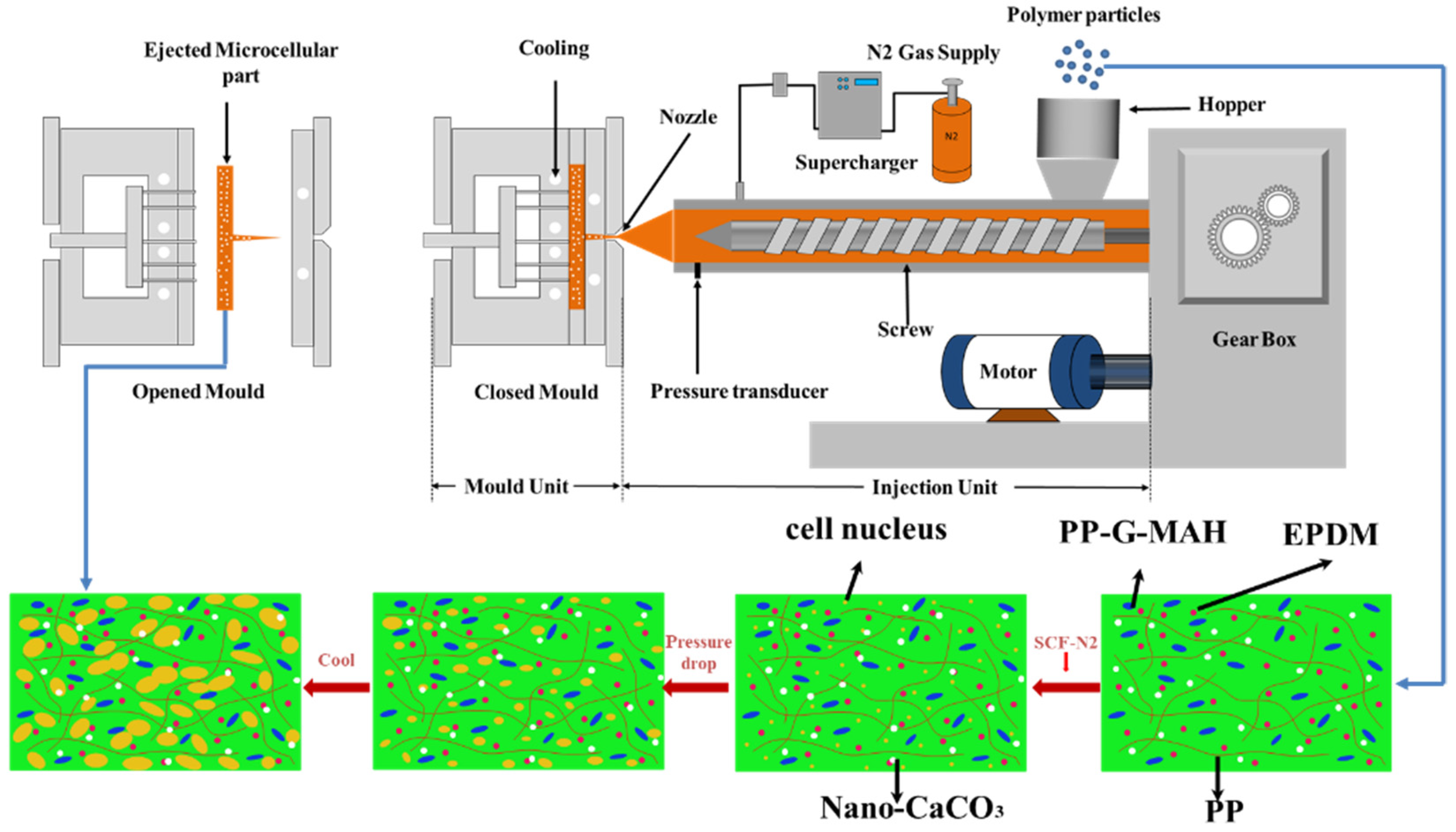 Polymers 15 03604 g001