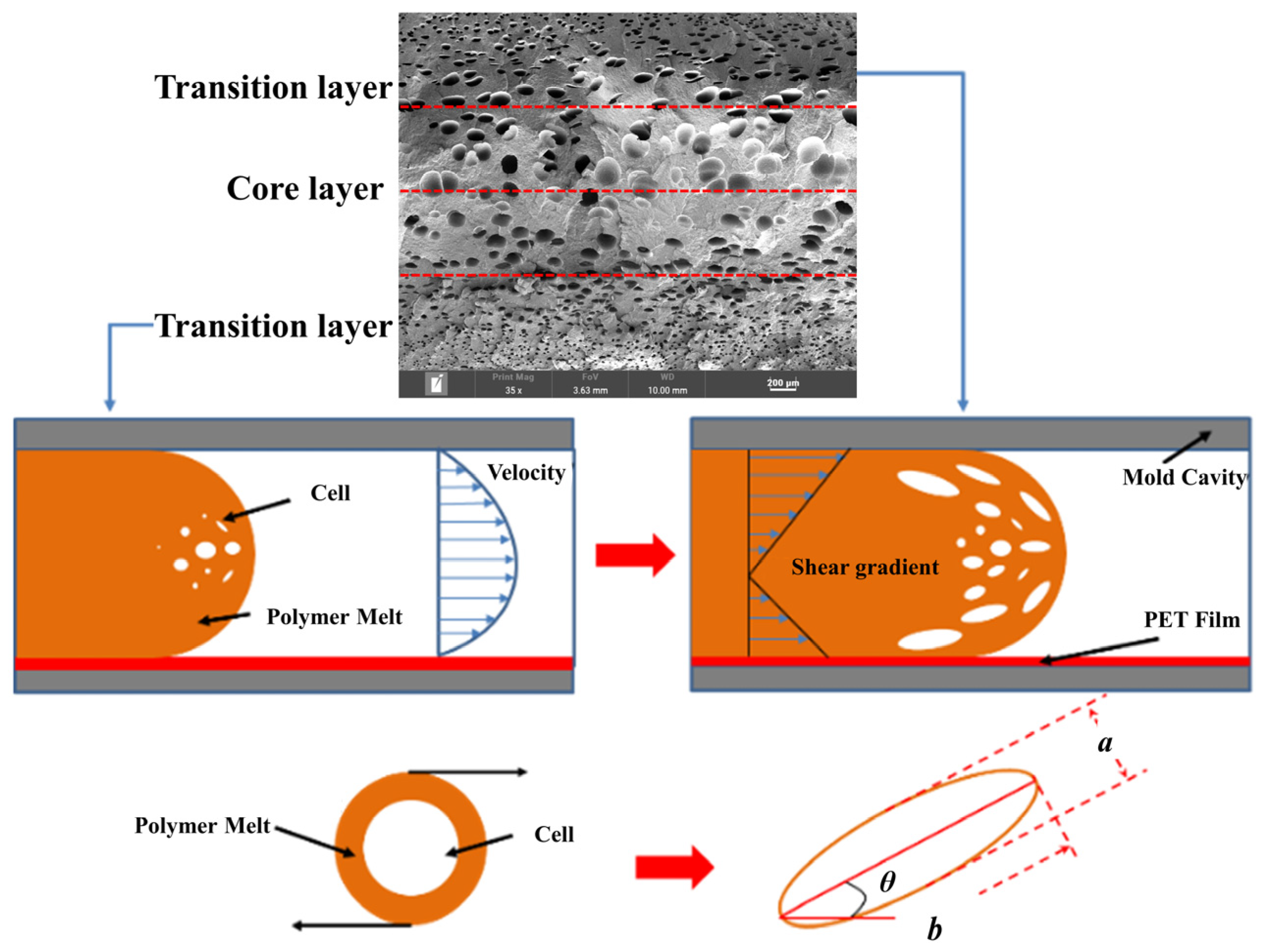 Polymers 15 03604 g003