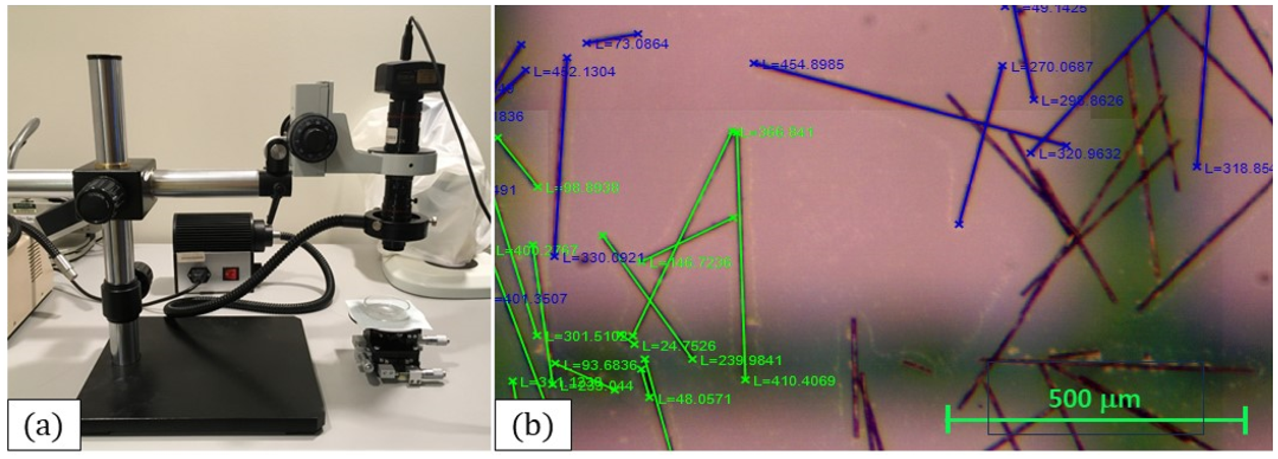 Polymers 15 03605 g005