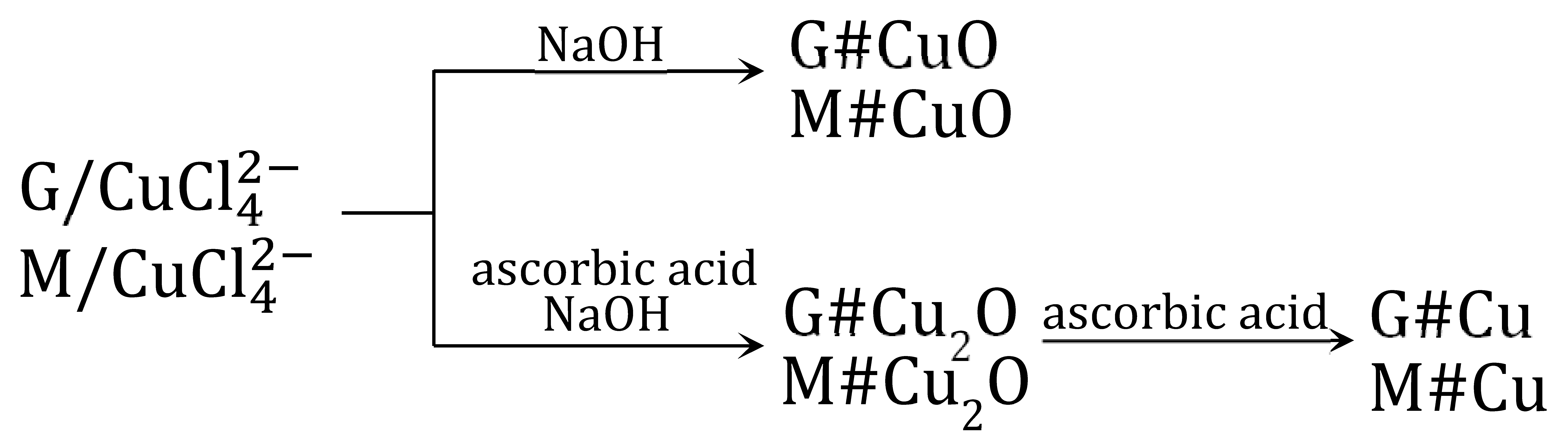 Polymers 15 03606 i004