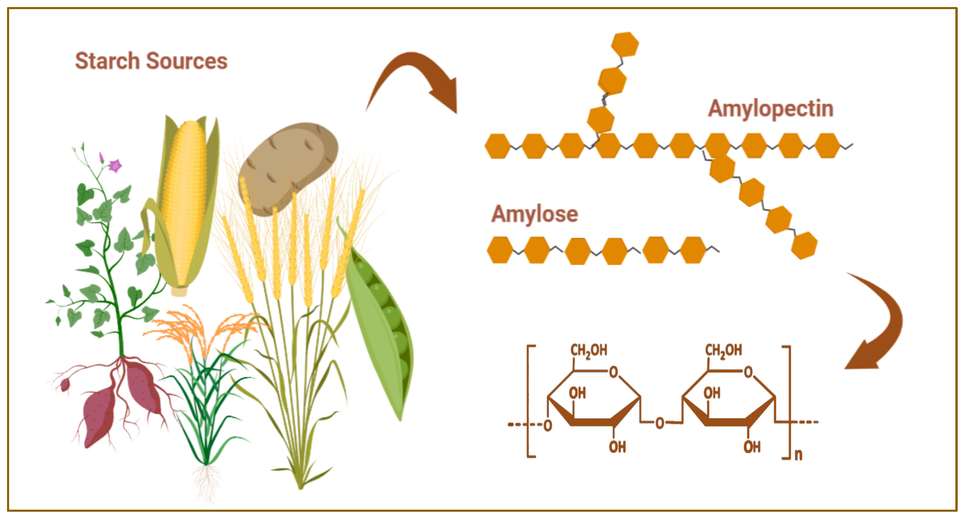 Polymers 15 03615 g002