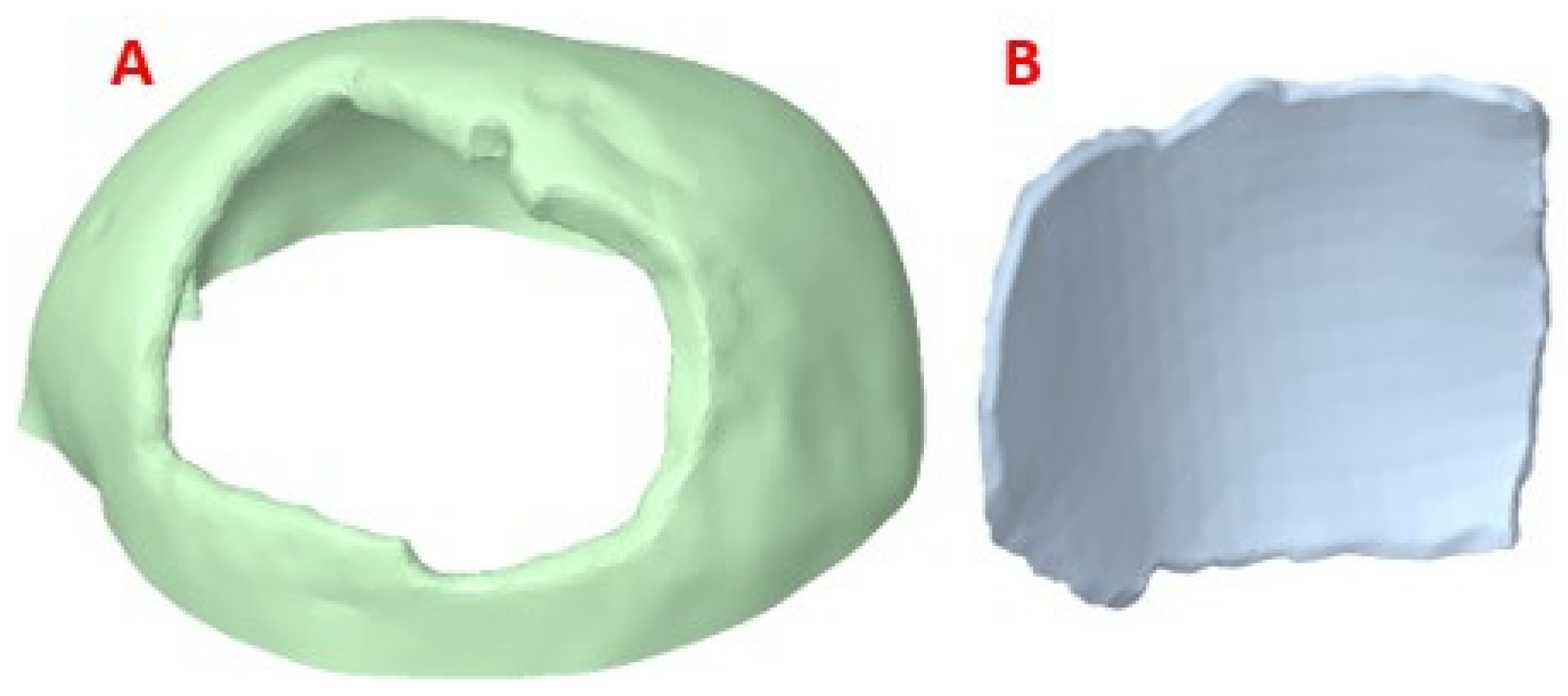 Polymers 15 03620 g005