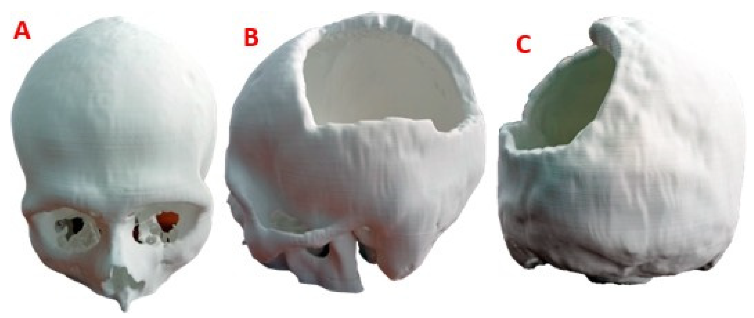 Polymers 15 03620 g008