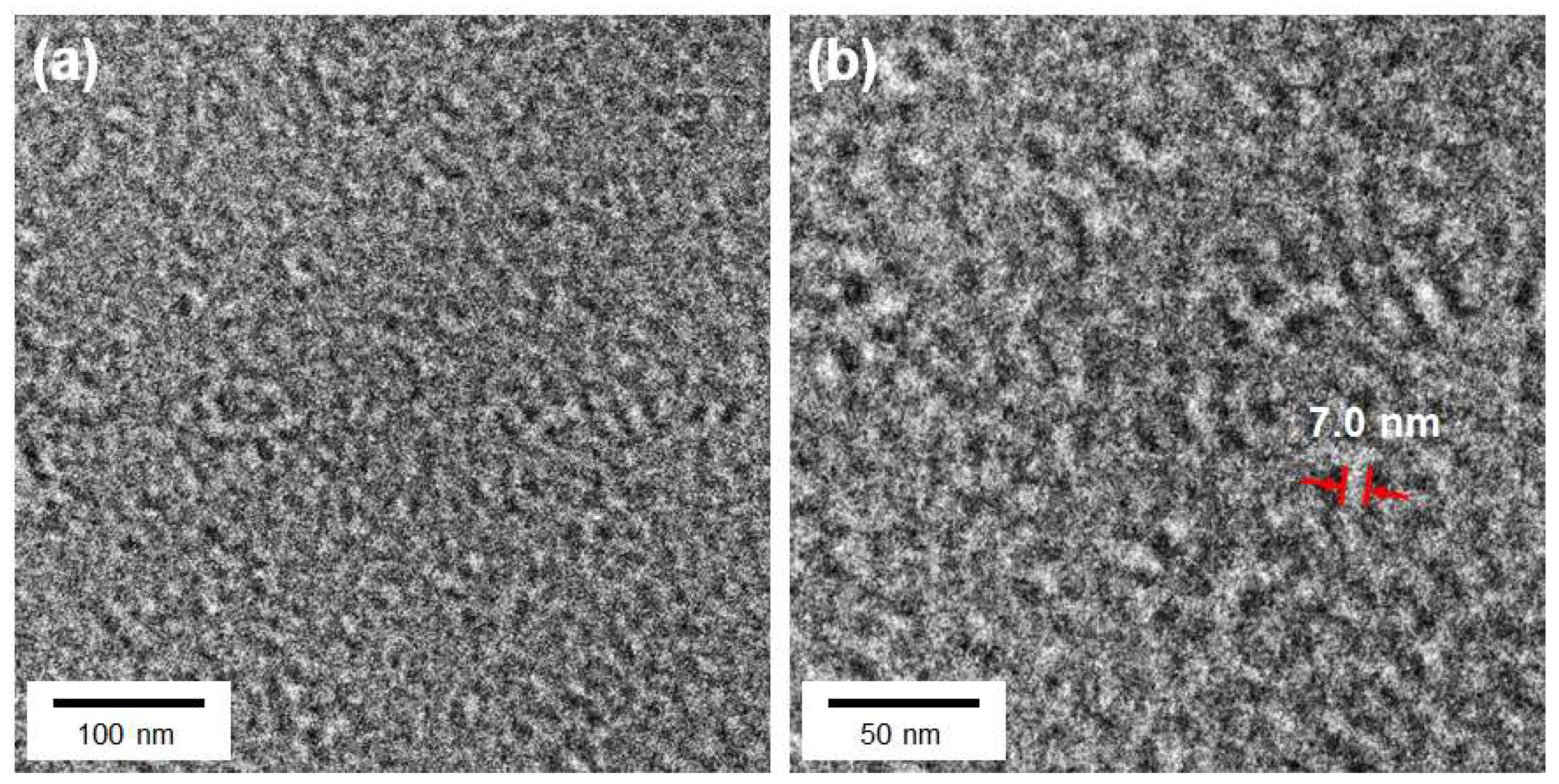 Polymers 15 03623 g002