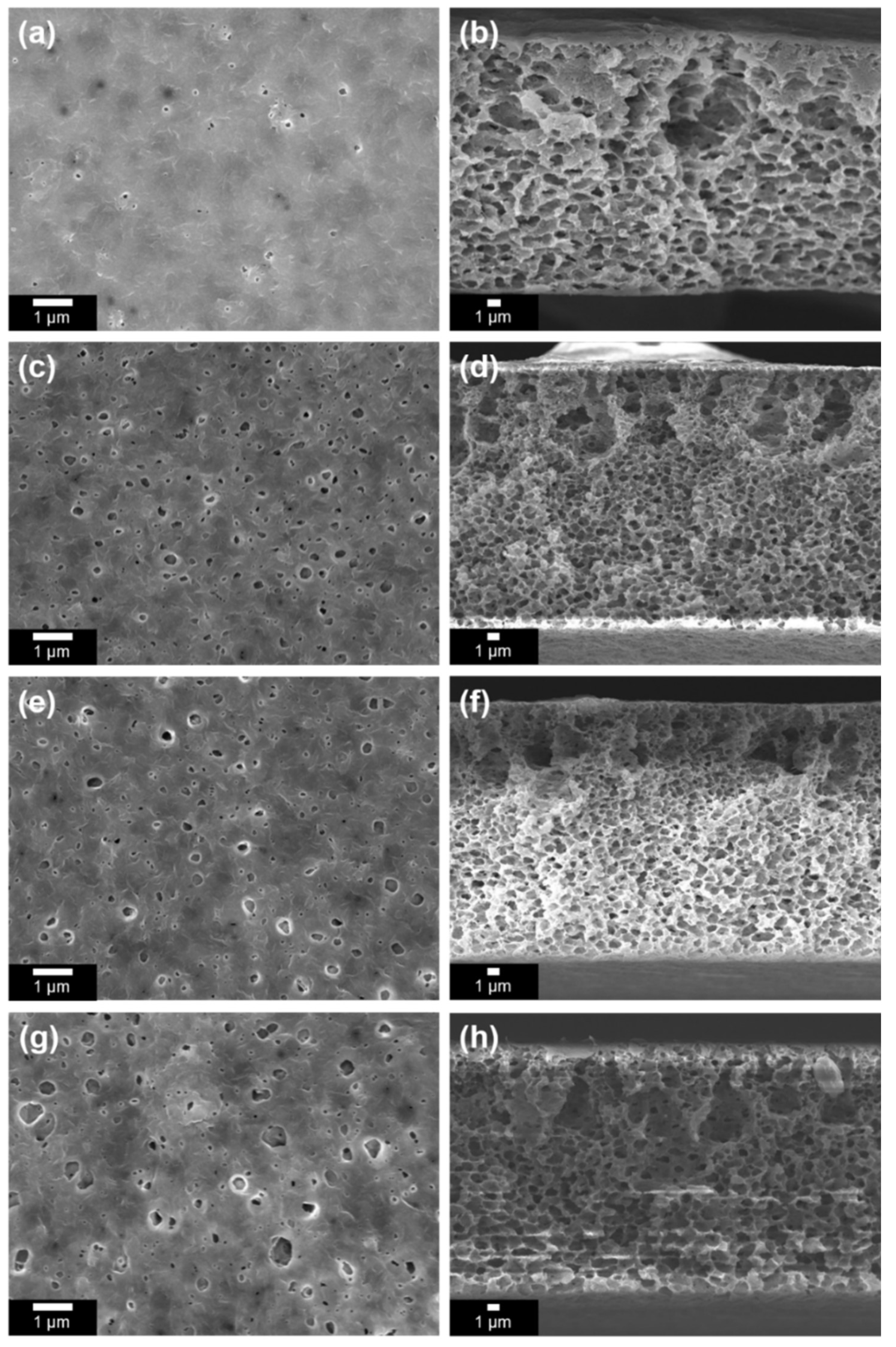 Polymers 15 03623 g005