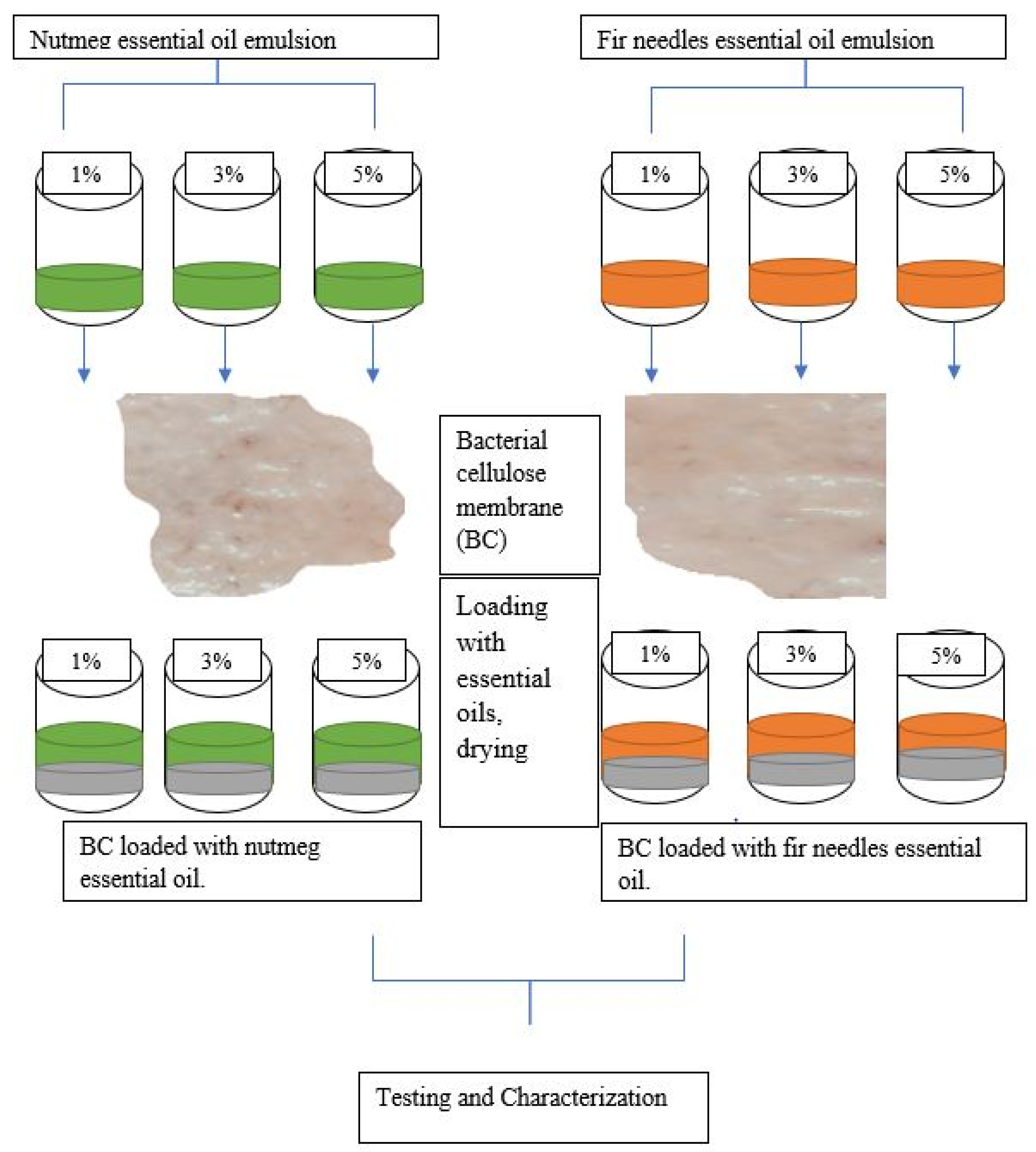 Polymers 15 03629 g001