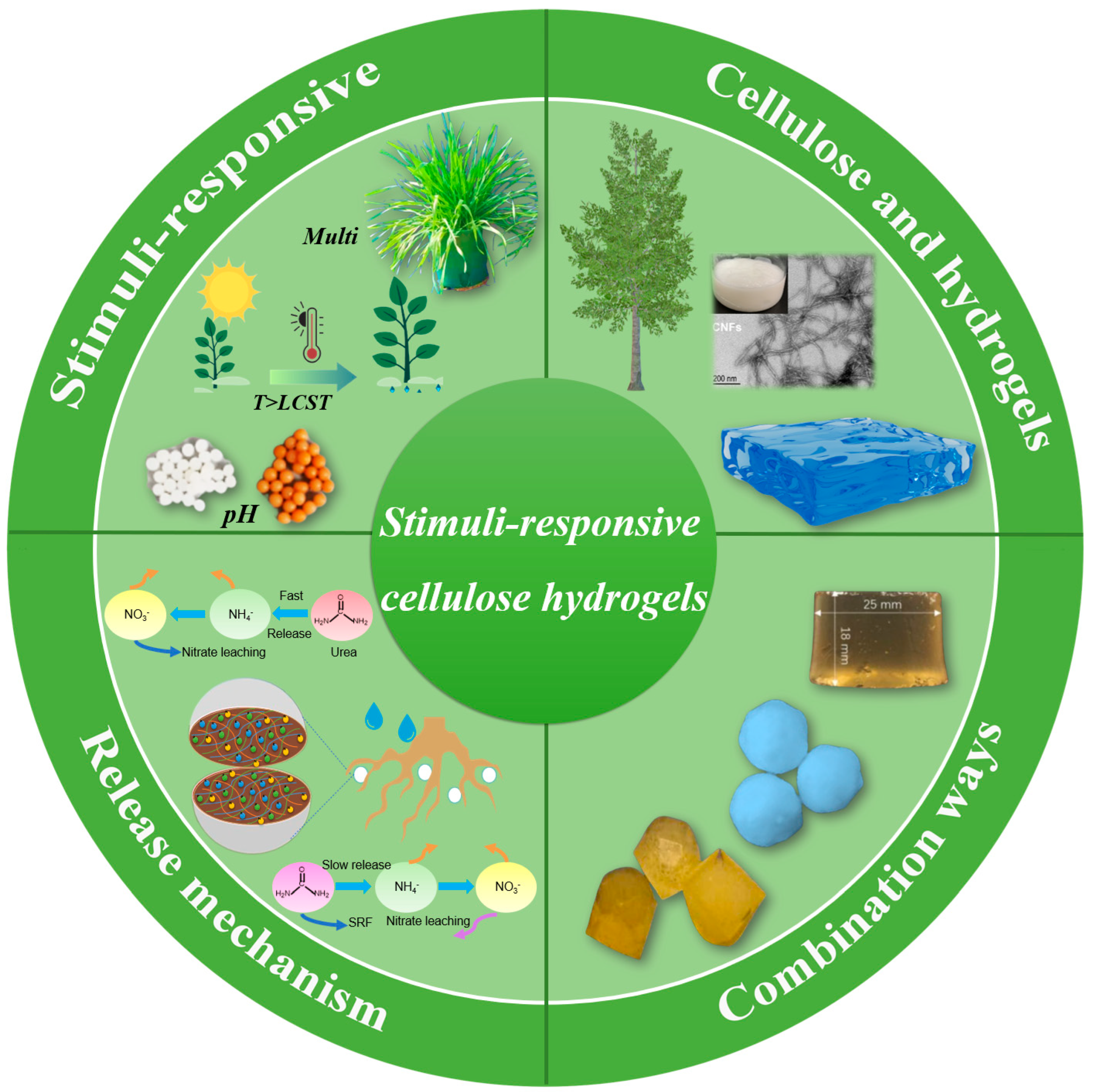 Polymers 15 03643 g001