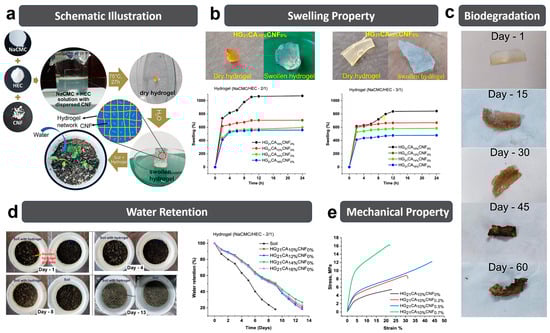 Polymers 15 03643 g003