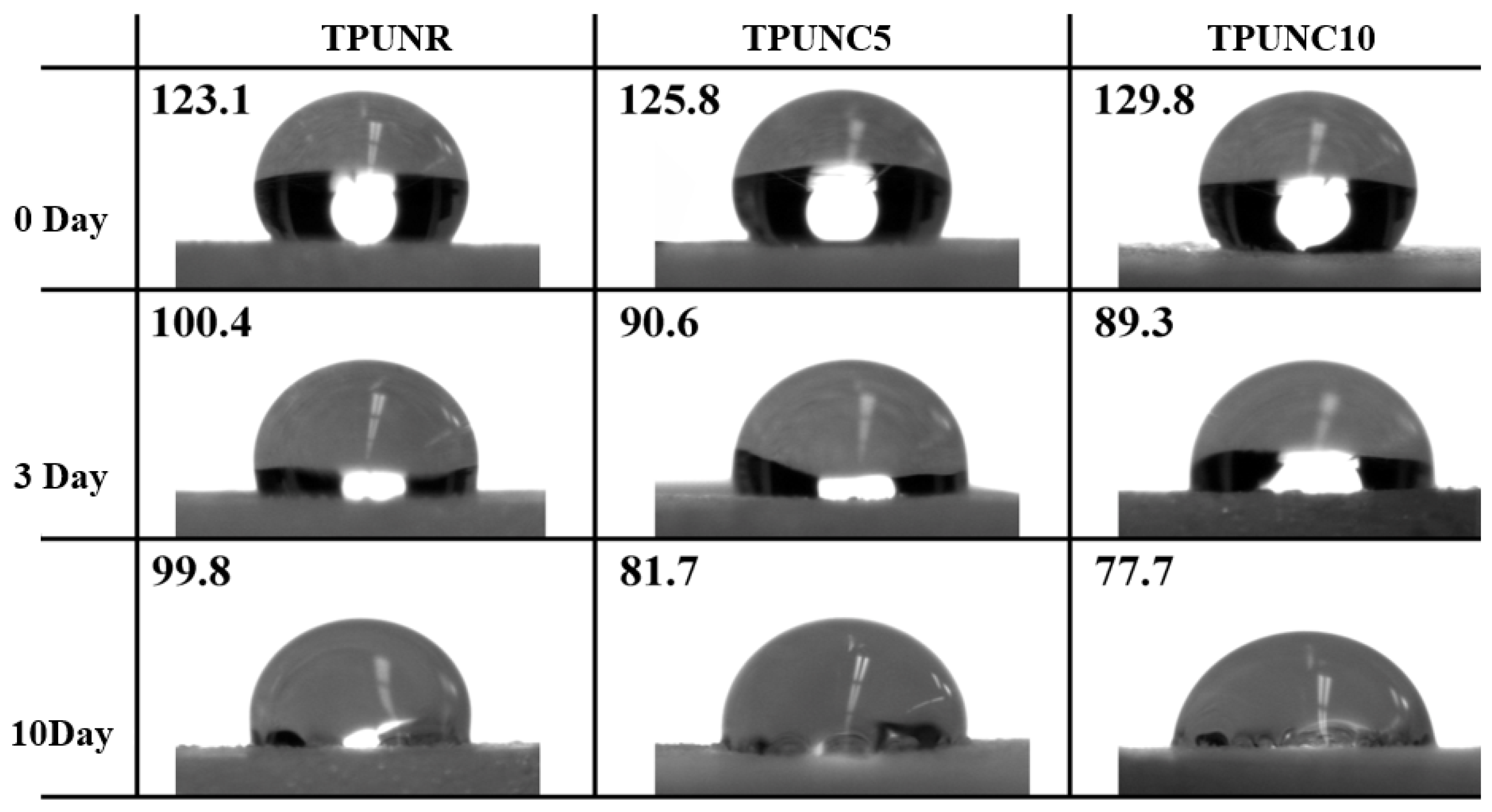 Polymers 15 03647 g004