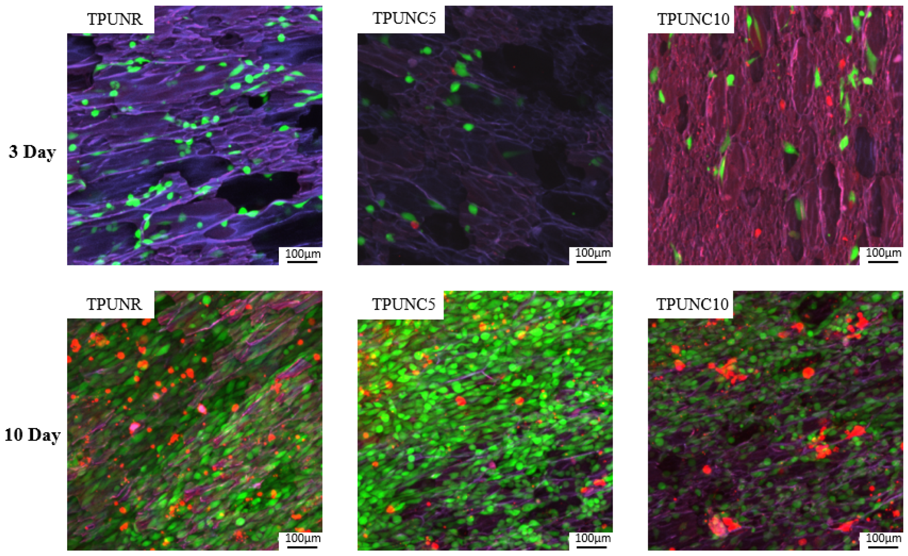 Polymers 15 03647 g008