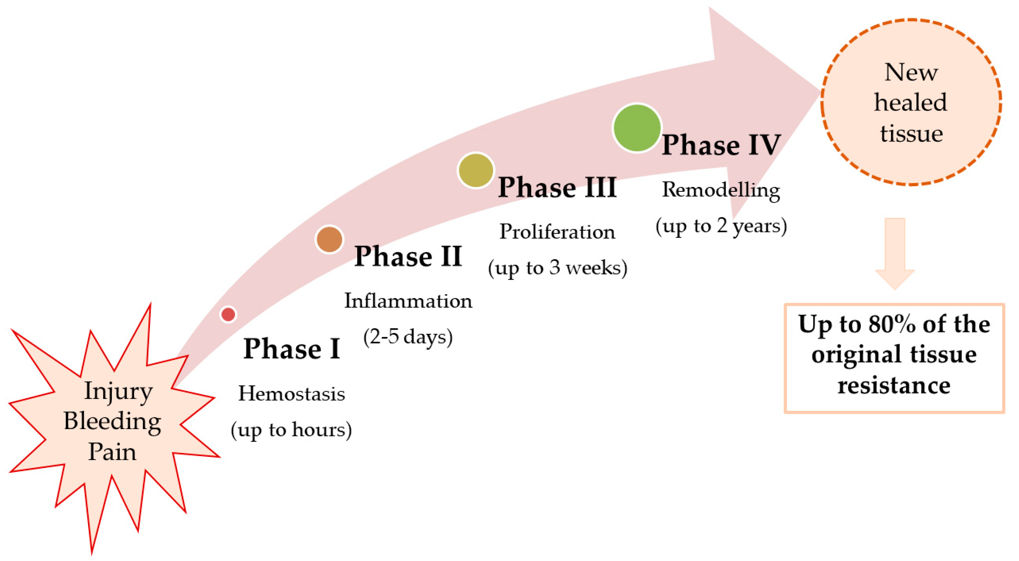 Polymers 15 03648 g001
