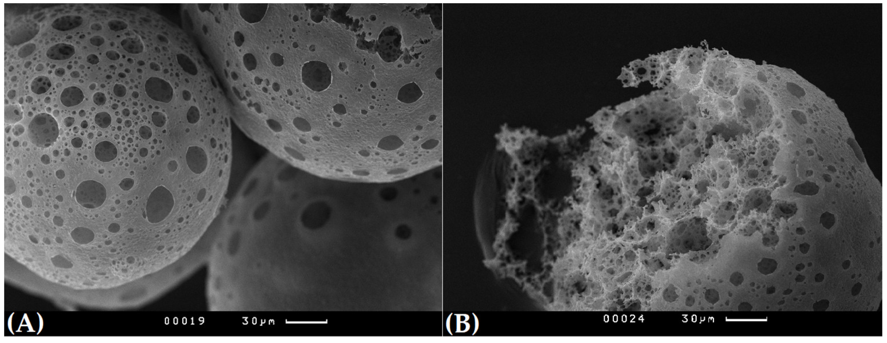 Polymers 15 03649 g002