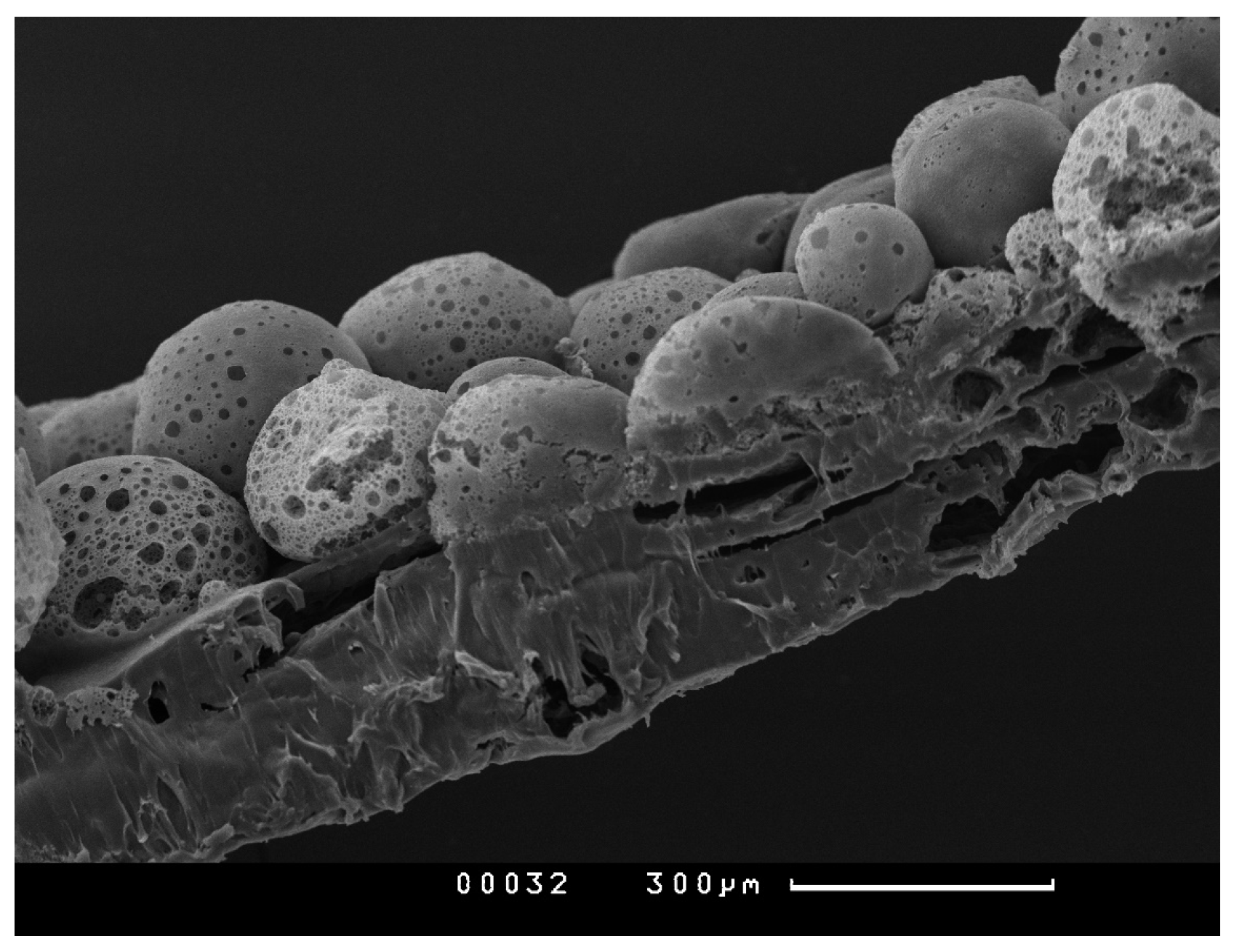 Polymers 15 03649 g003