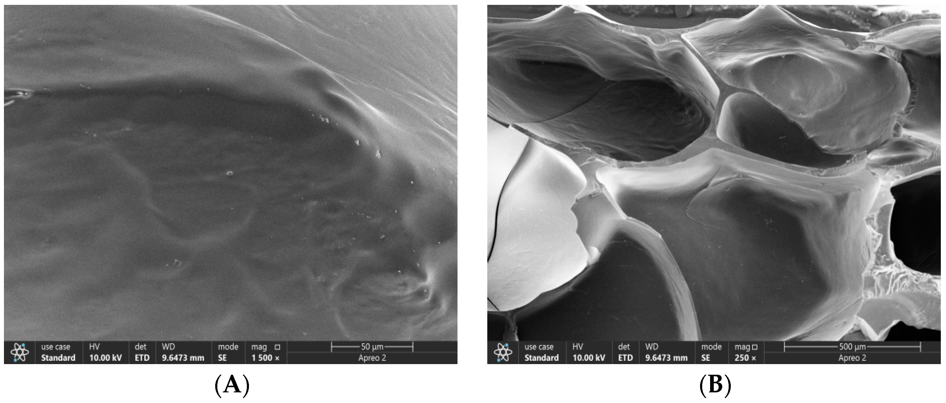 Polymers 15 03659 g004