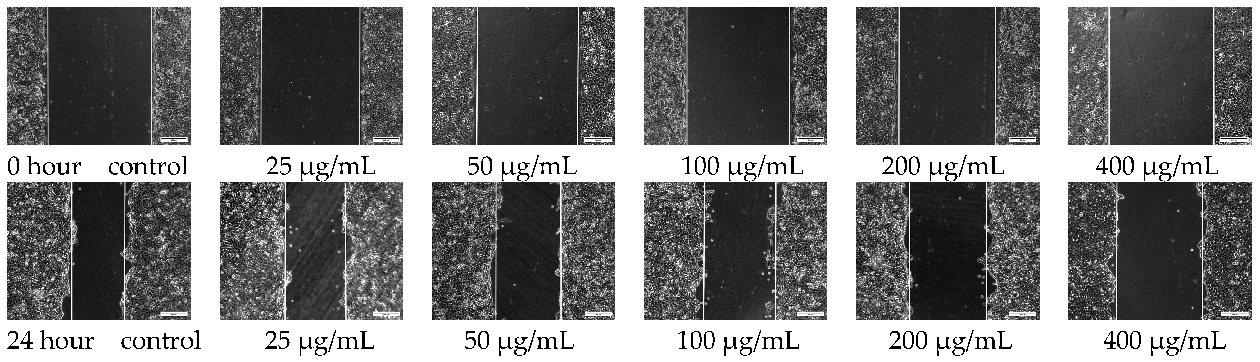 Polymers 15 03659 g008