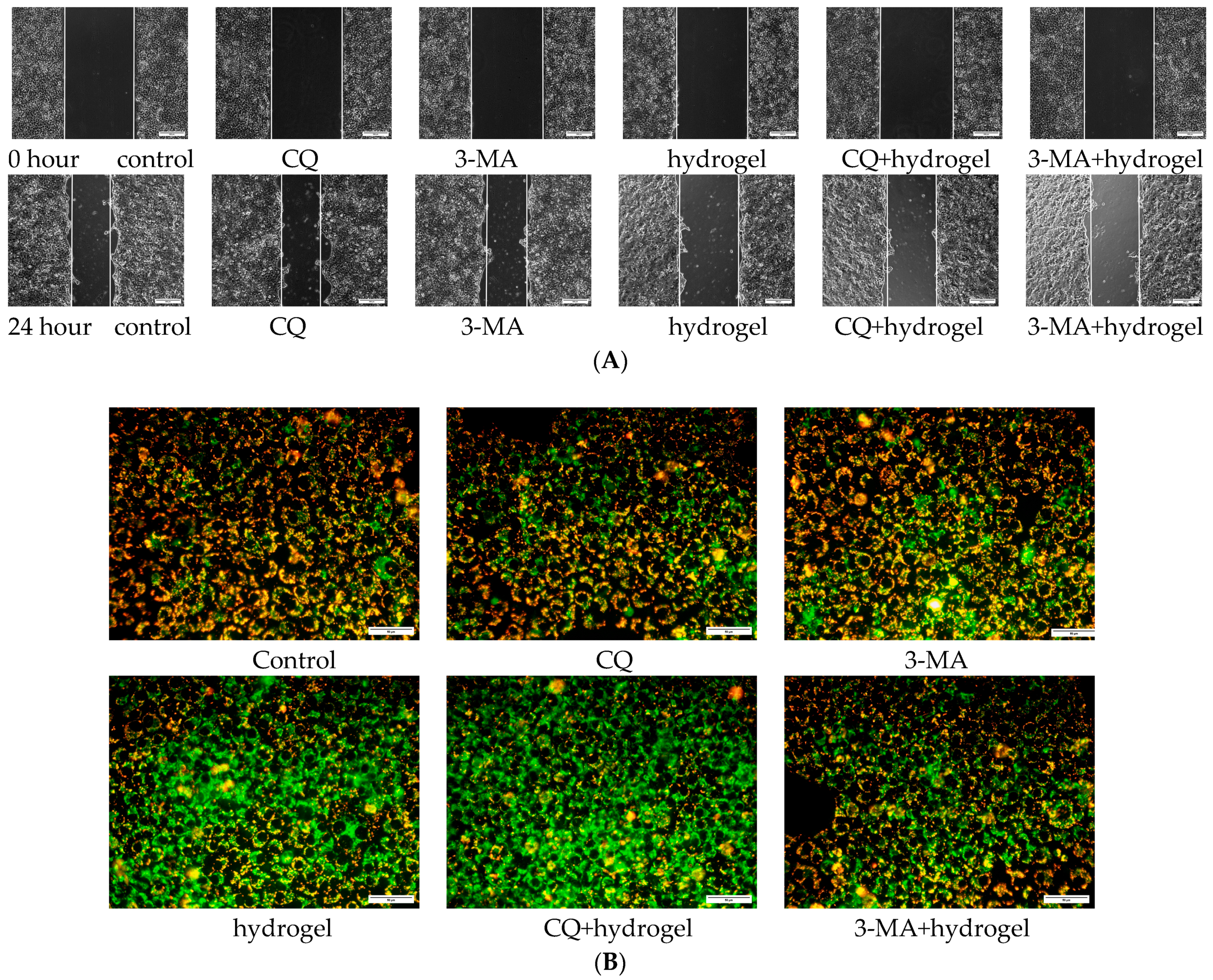 Polymers 15 03659 g010