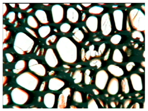 Polymers 15 03660 i001