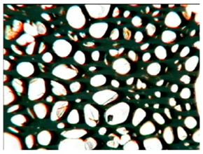 Polymers 15 03660 i002