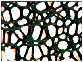 Polymers 15 03660 i007