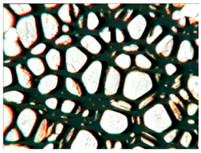 Polymers 15 03660 i009