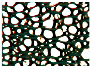 Polymers 15 03660 i010