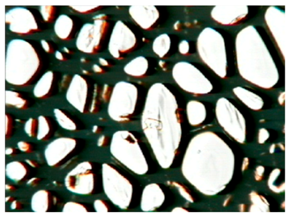 Polymers 15 03660 i011