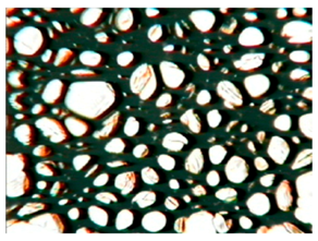 Polymers 15 03660 i012