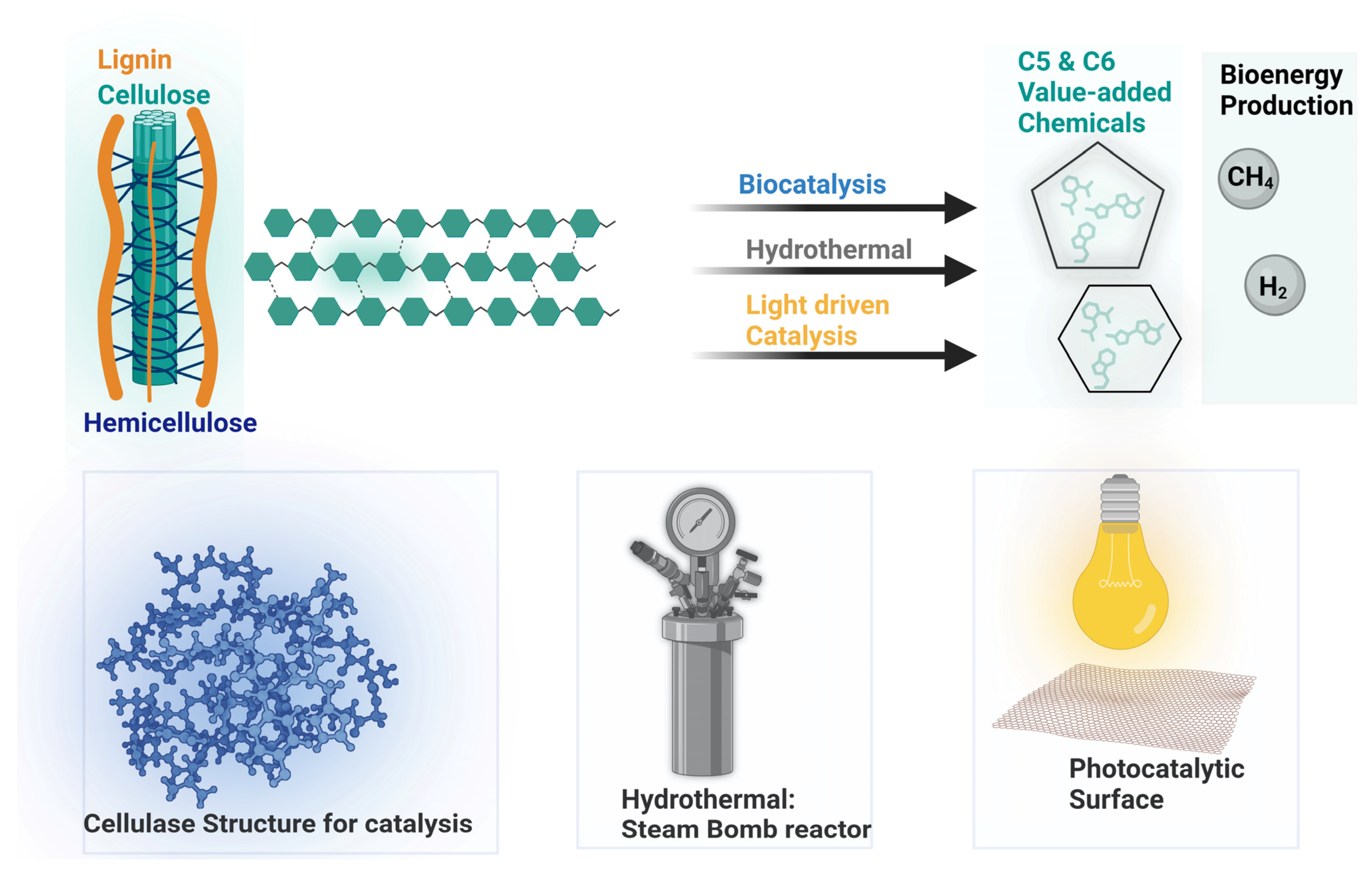 Polymers 15 03671 g003