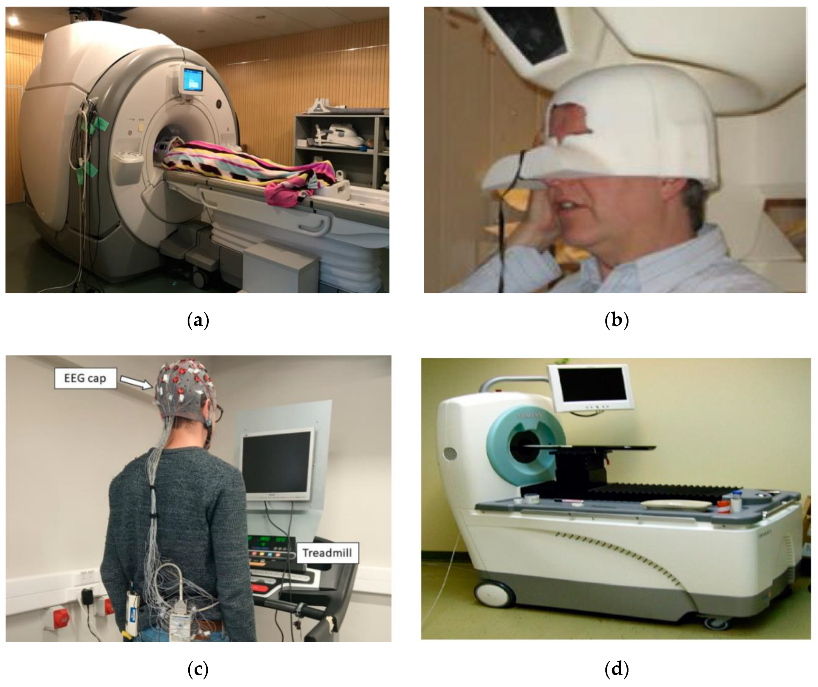Polymers 15 03673 g002